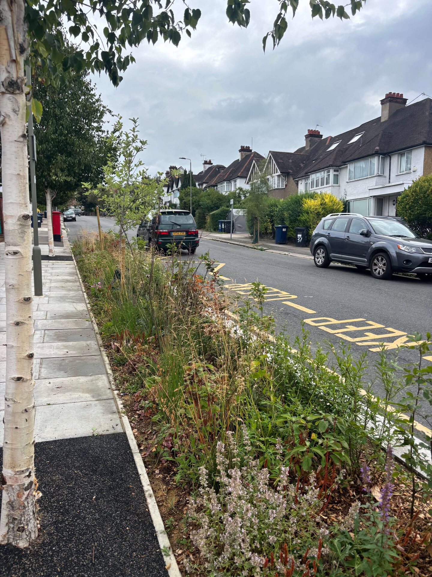 Wessex Gardens School SuDS