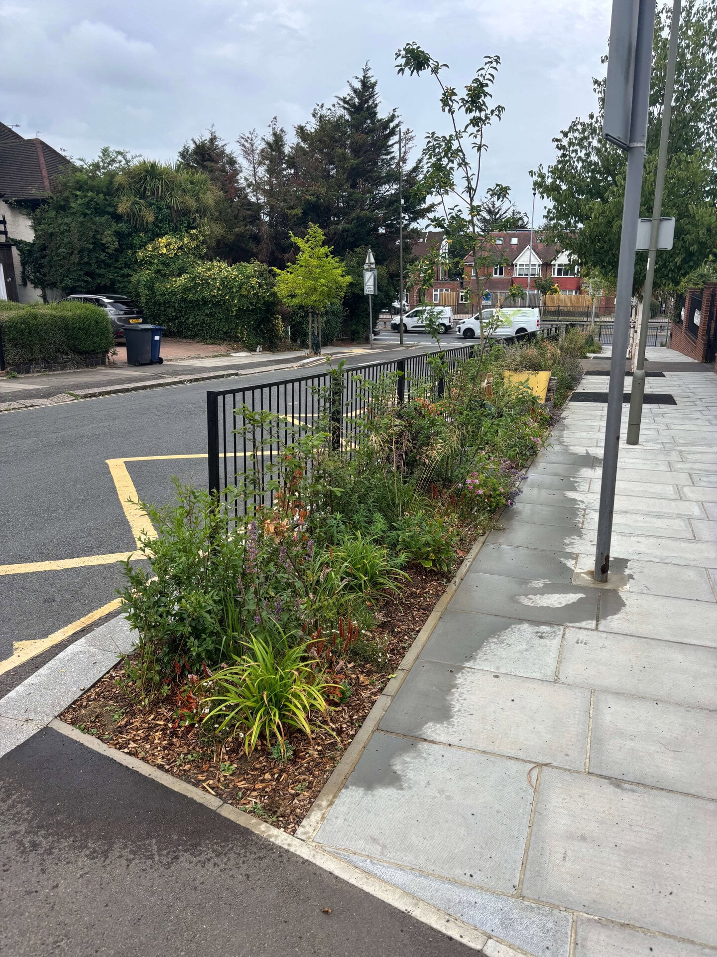 Wessex Gardens School SuDS