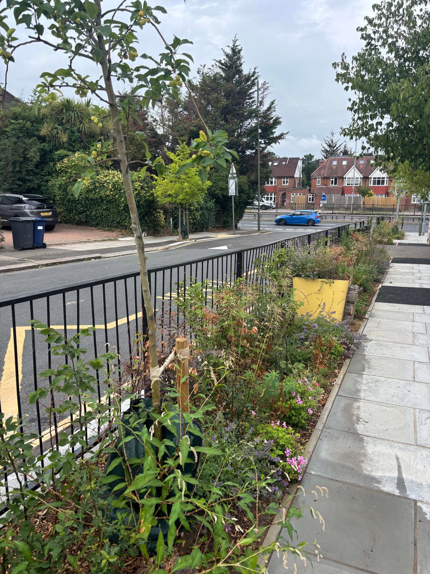 Wessex Gardens School SuDS