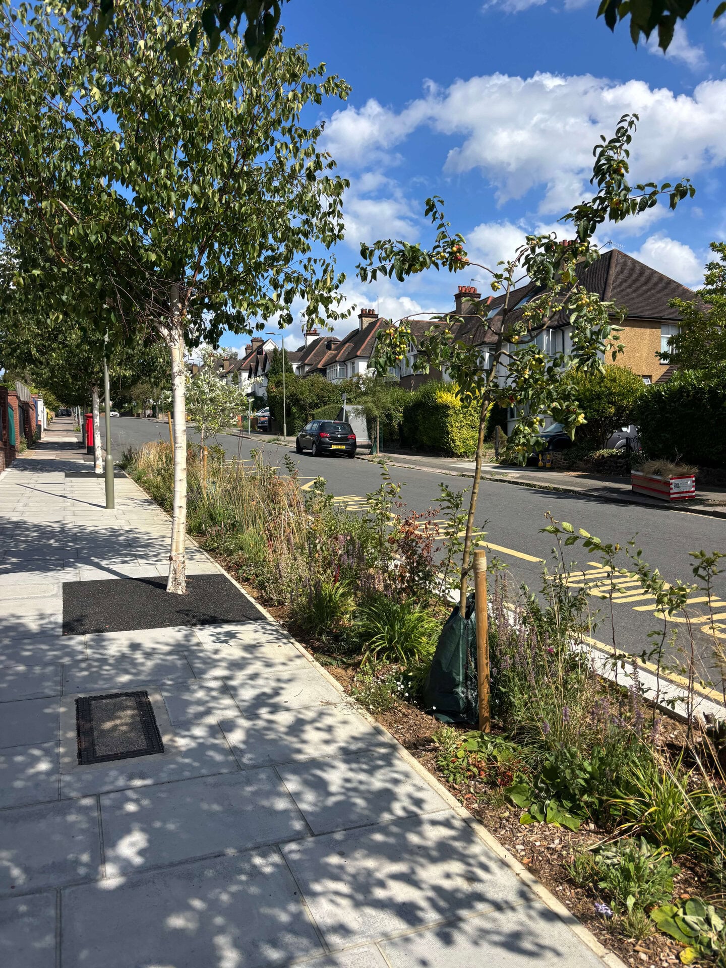 Rain Gardens