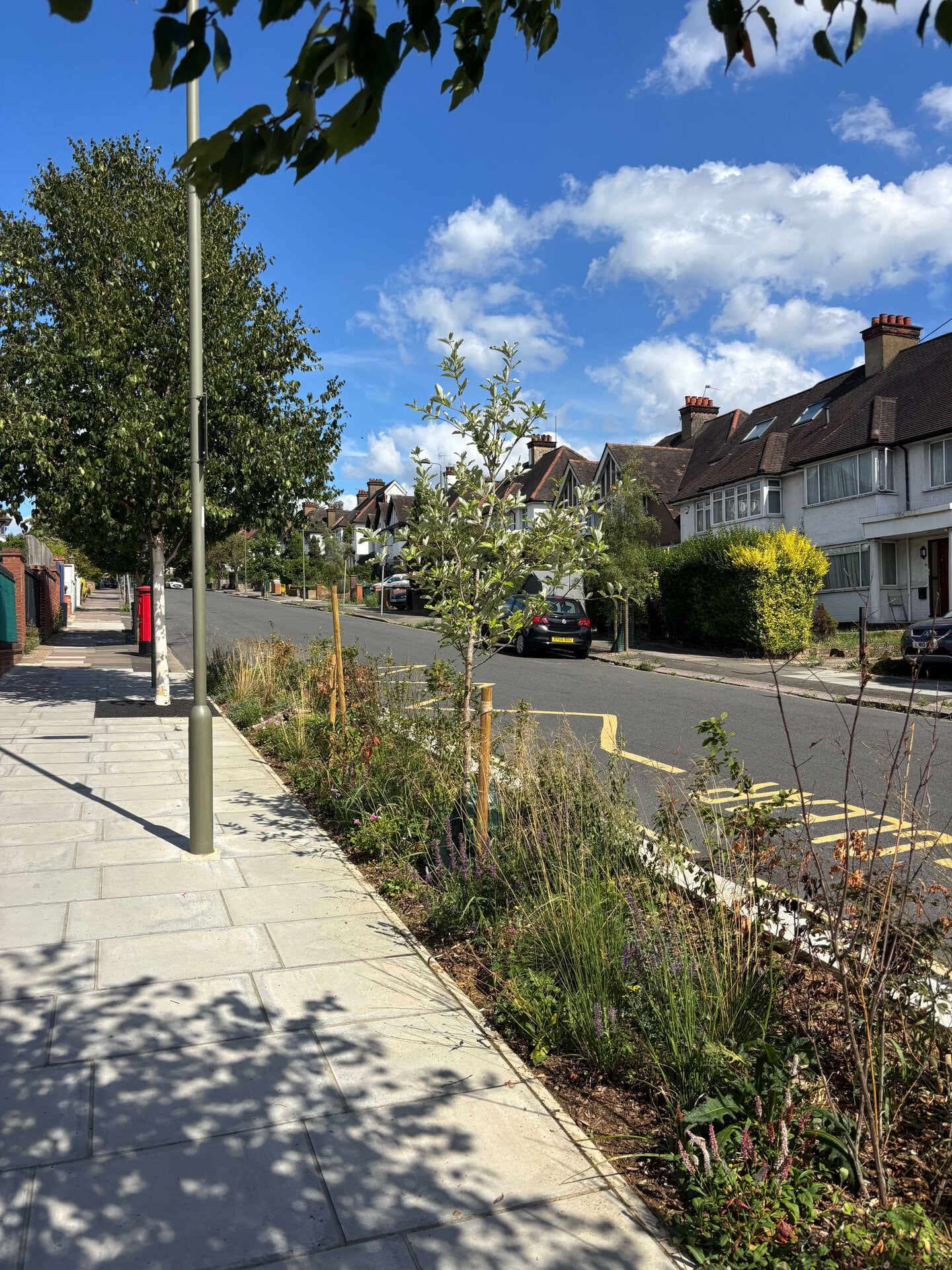 Wessex Gardens School SuDS