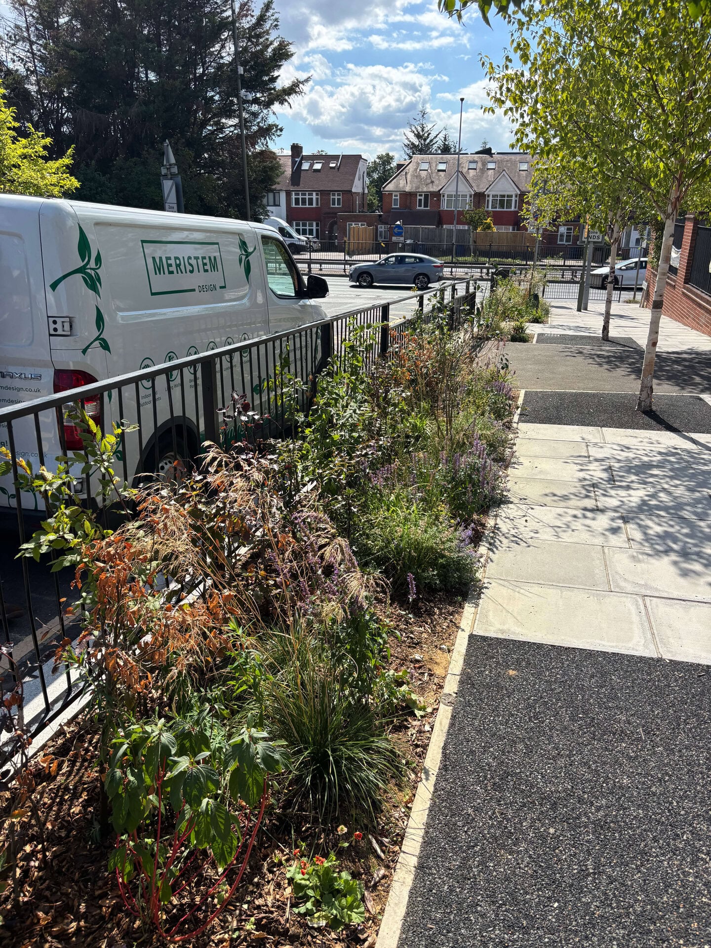 Wessex Gardens School SuDS