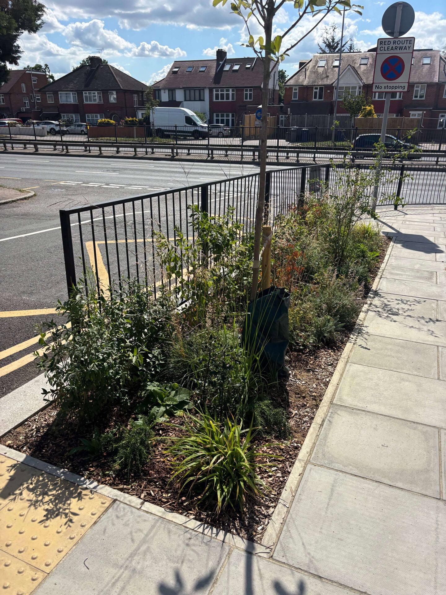 Wessex Gardens School SuDS