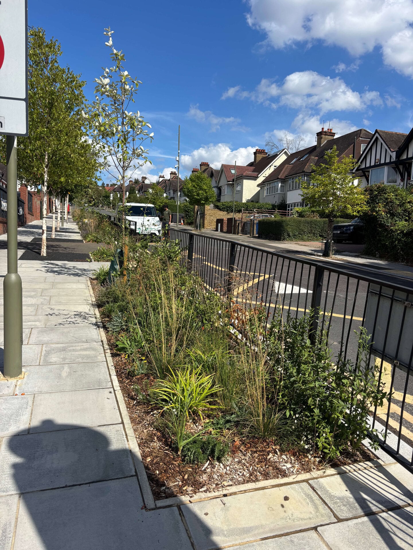 Wessex Gardens School SuDS