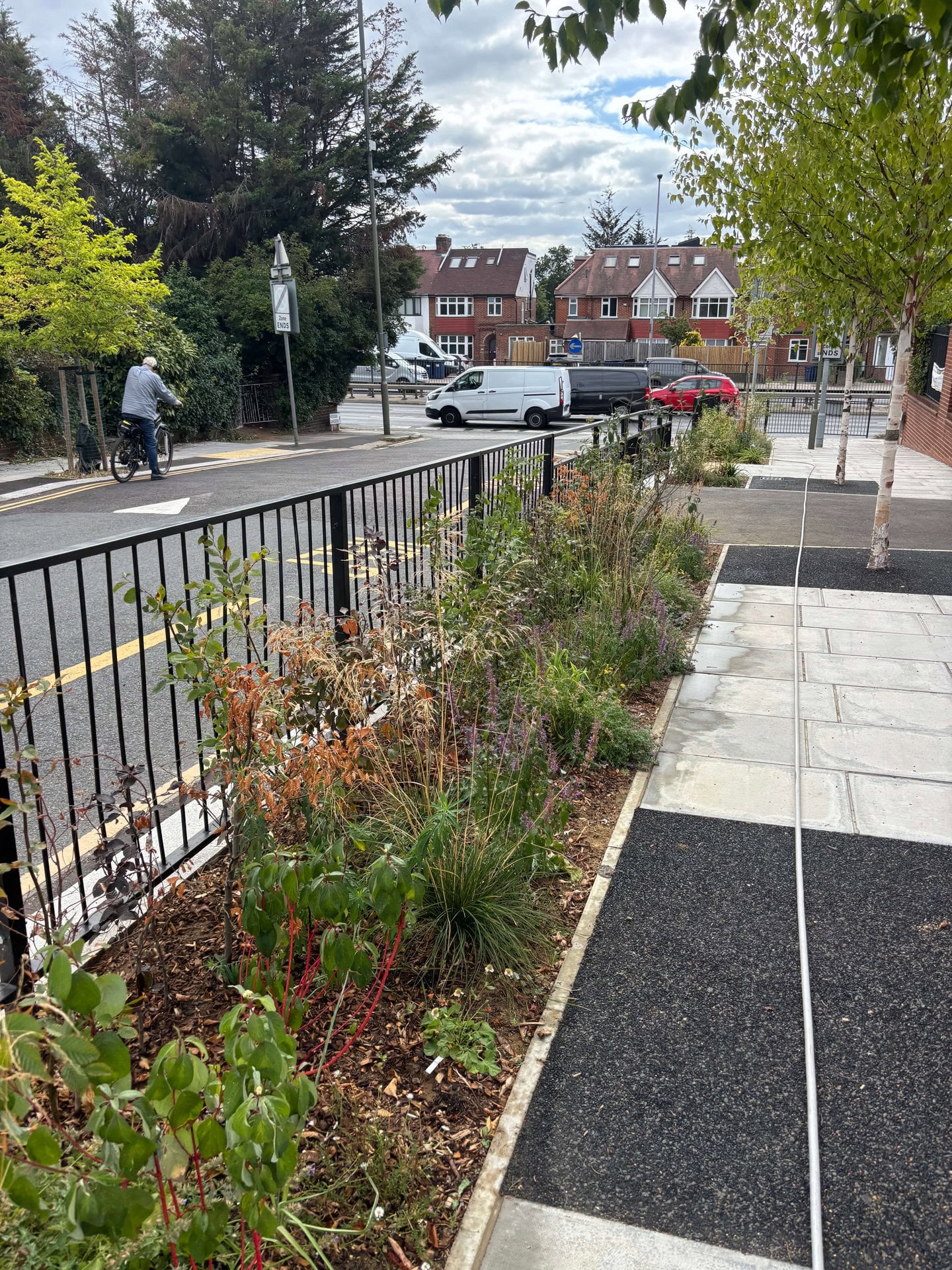 Wessex Gardens School SuDS