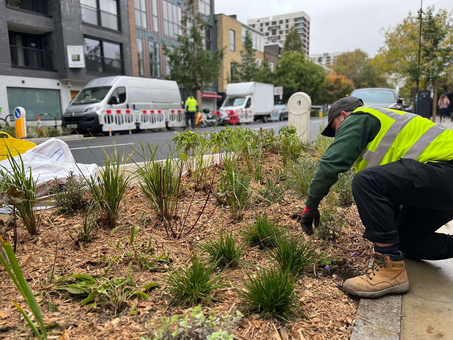 Downham Road Rain Gardens