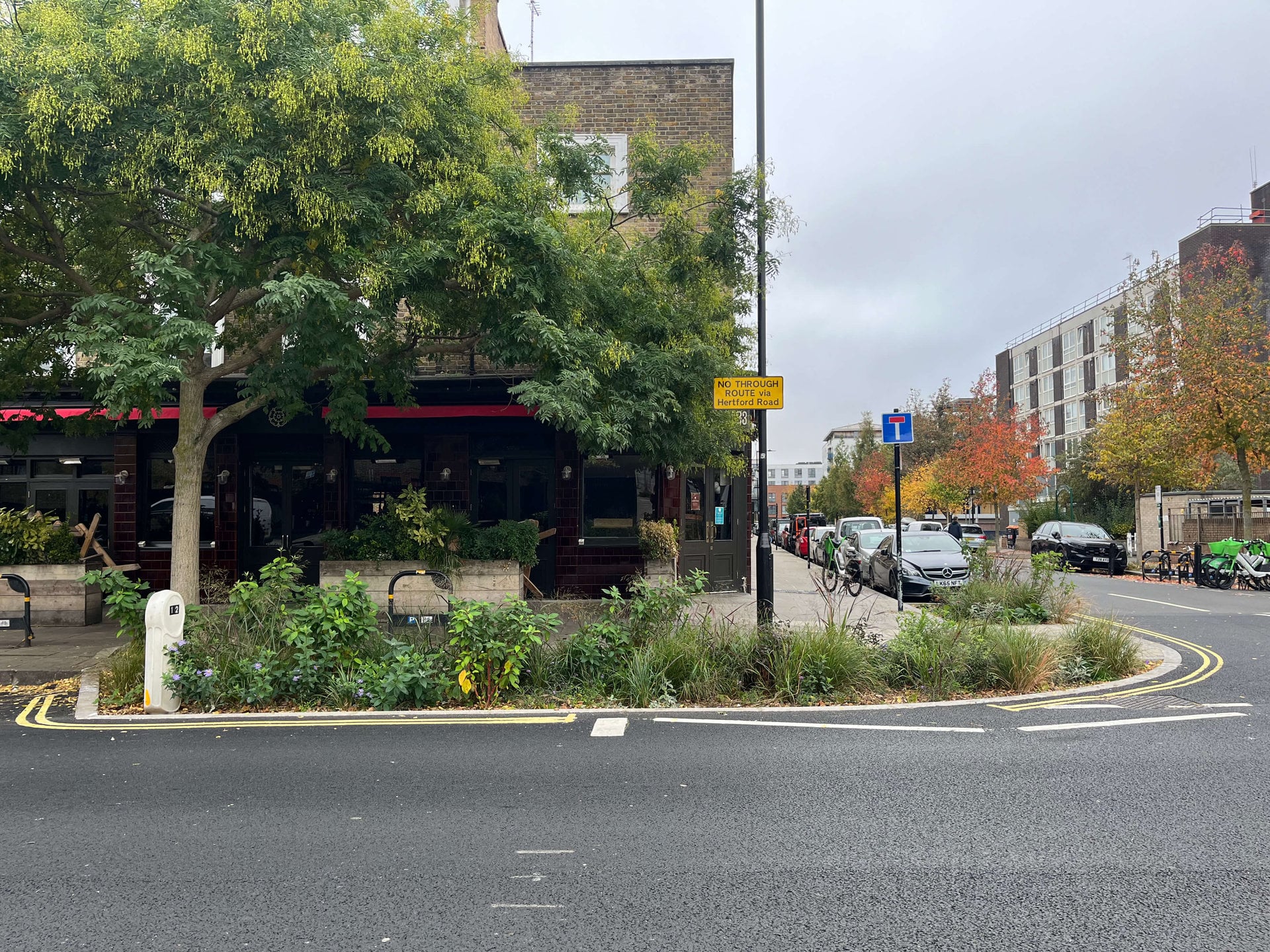 Downham Road Rain Gardens