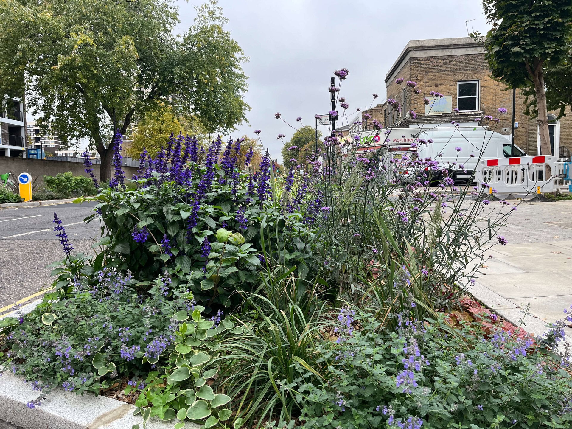 Downham Road Rain Gardens