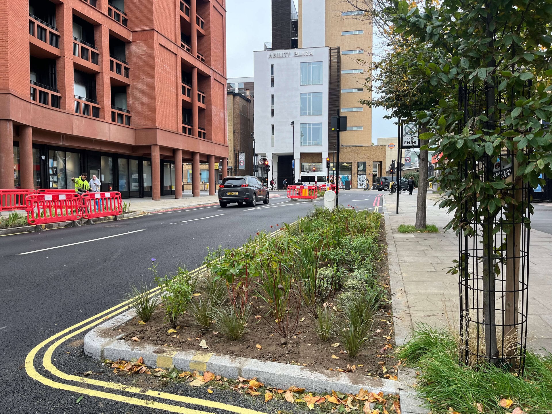 Downham Road Rain Gardens