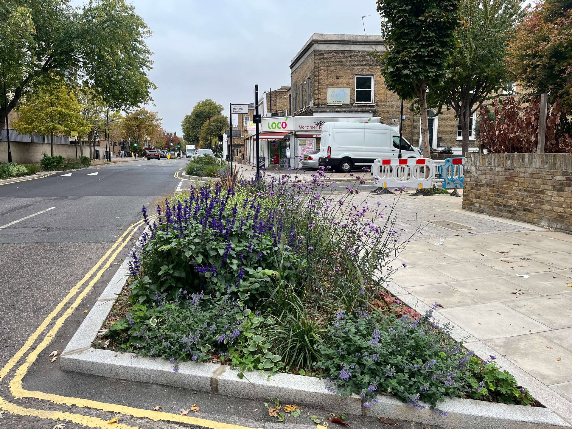 Downham Road Rain Gardens
