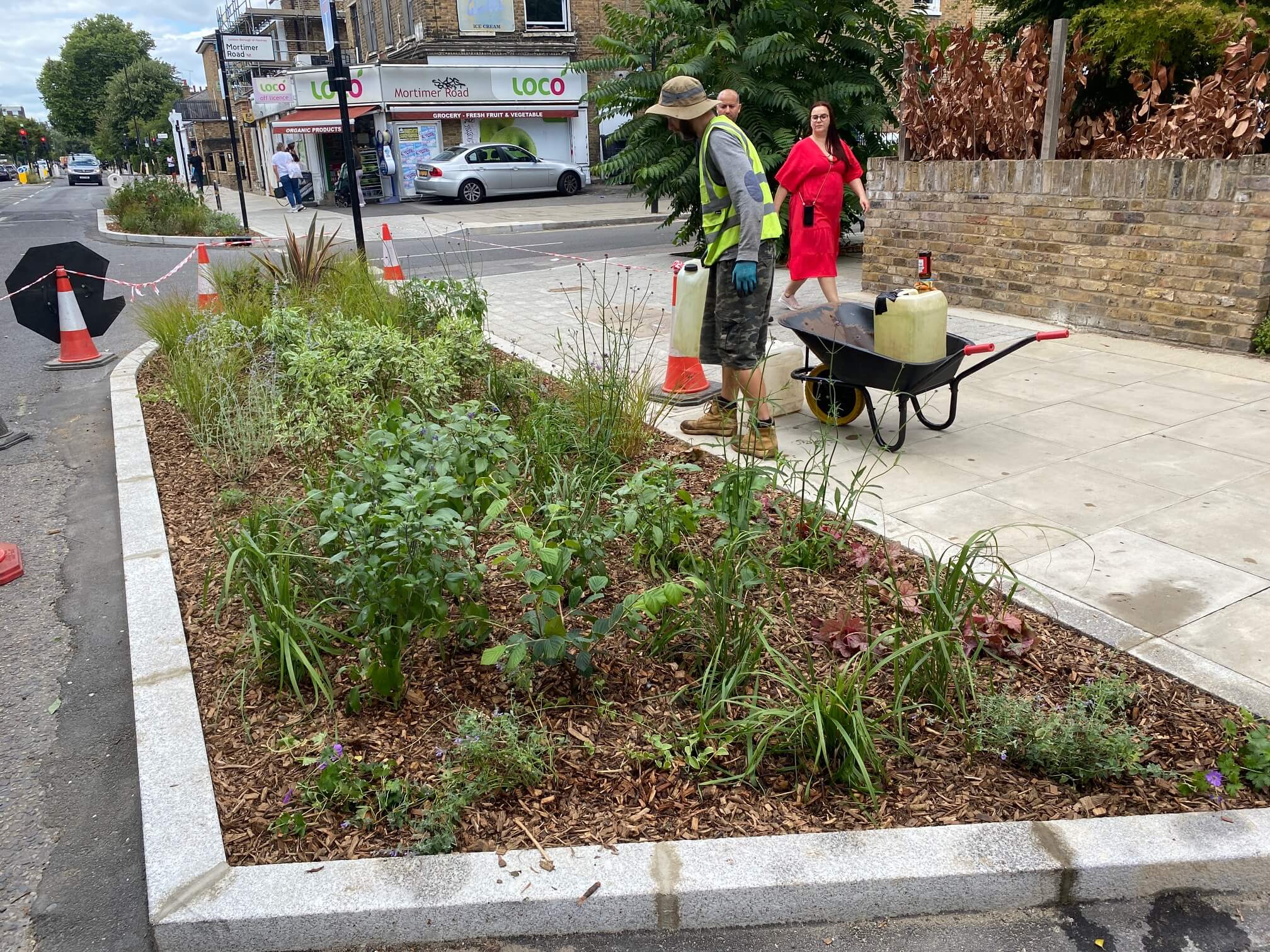 Downham Road Rain Gardens