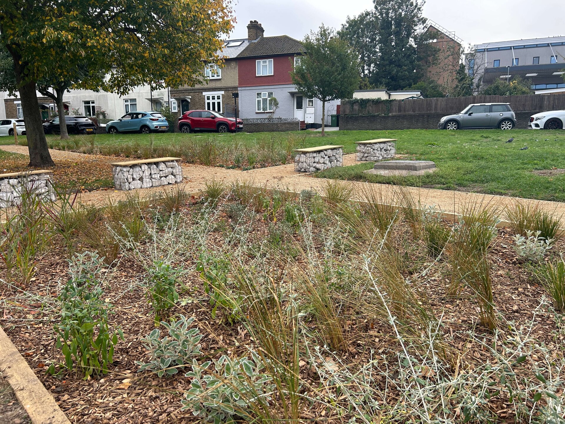 South Countess Road Rain Garden