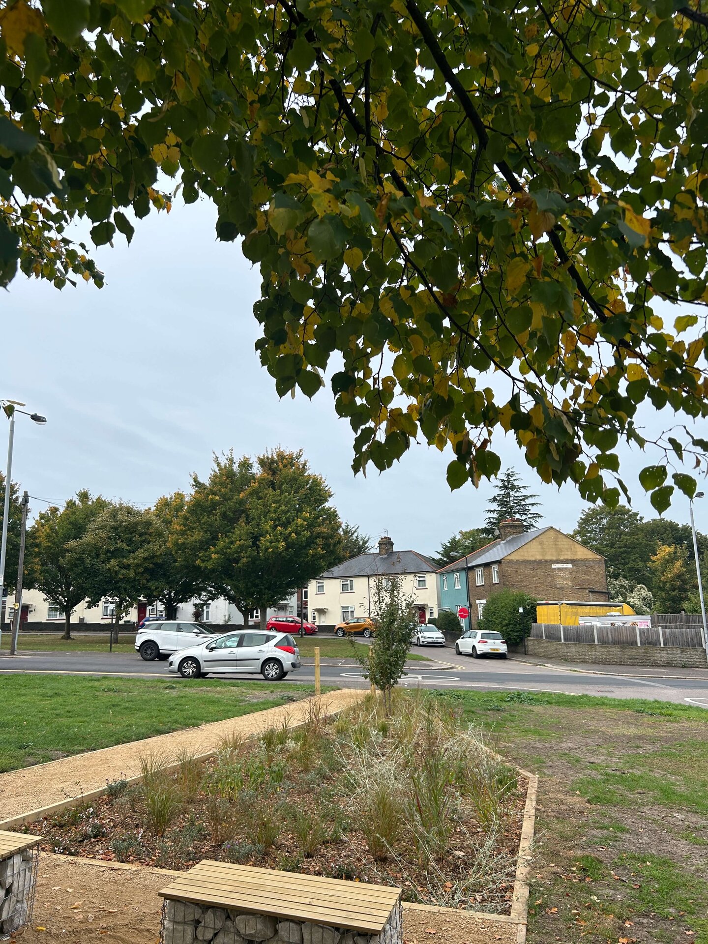 South Countess Road Rain Garden