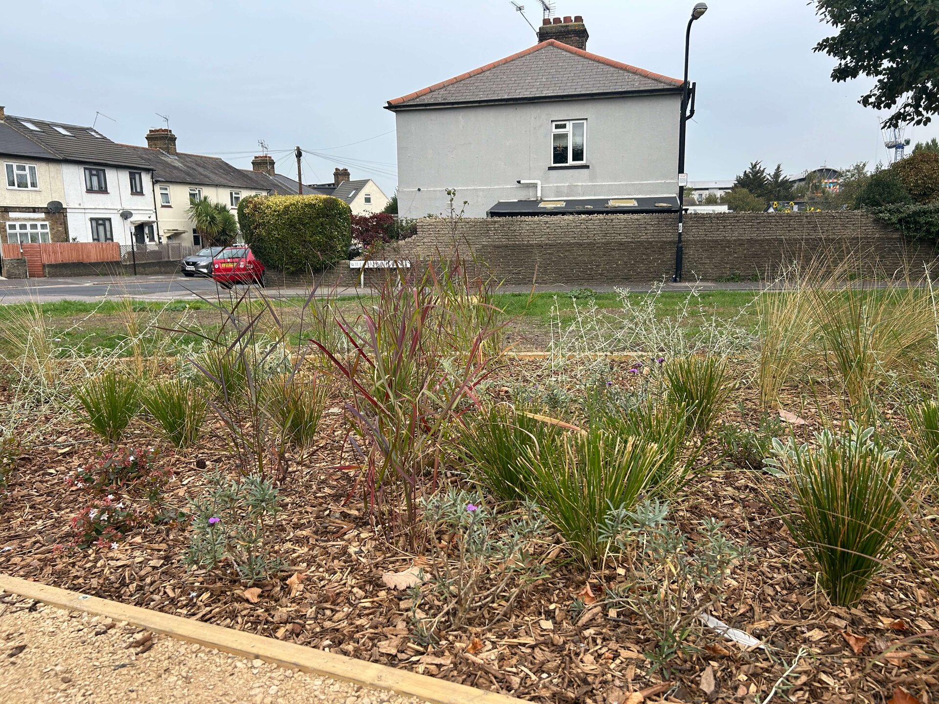 South Countess Road Rain Garden