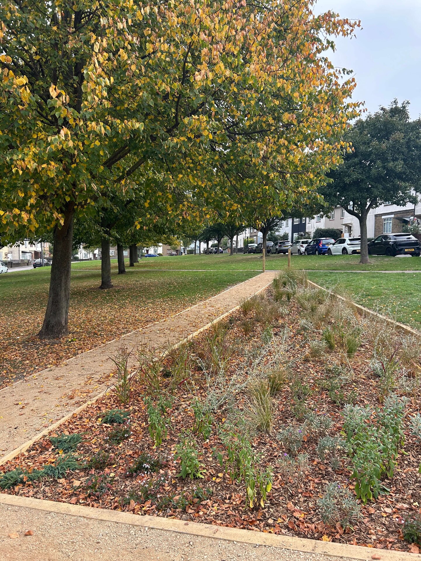South Countess Road Rain Garden