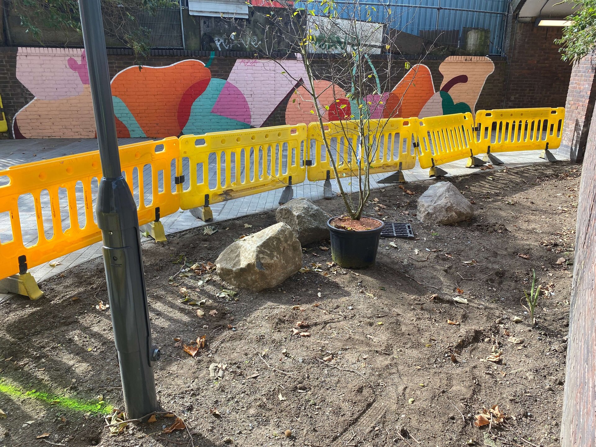 St. James Public Realm Rain Gardens