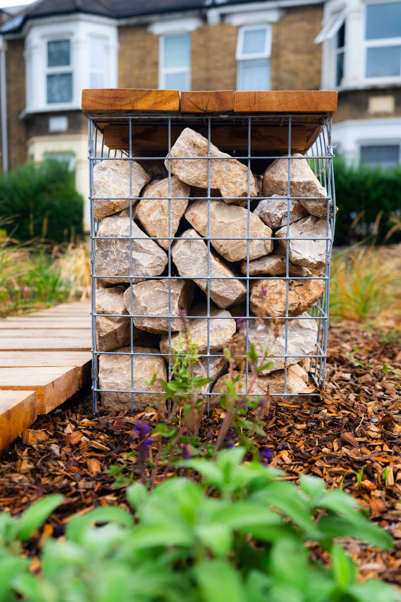 Scotts and Morley Road Rain Gardens
