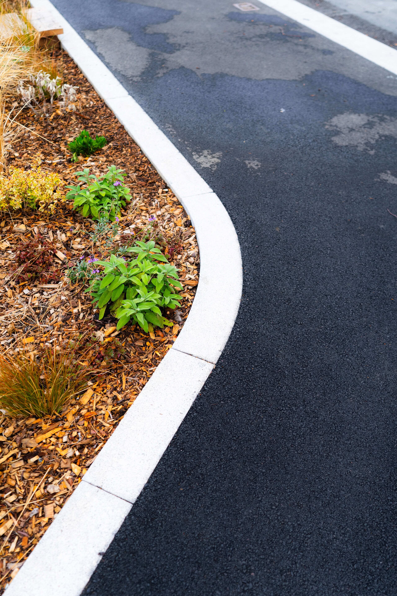 Scotts and Morley Road Rain Gardens