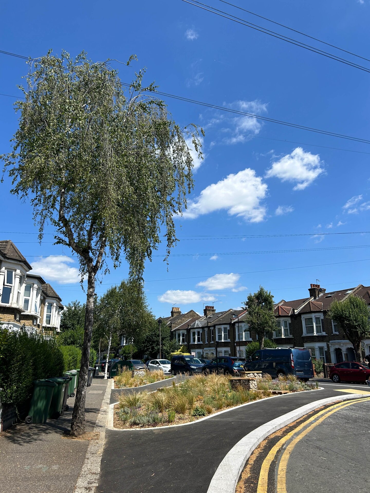 Scotts and Morley Road Rain Gardens