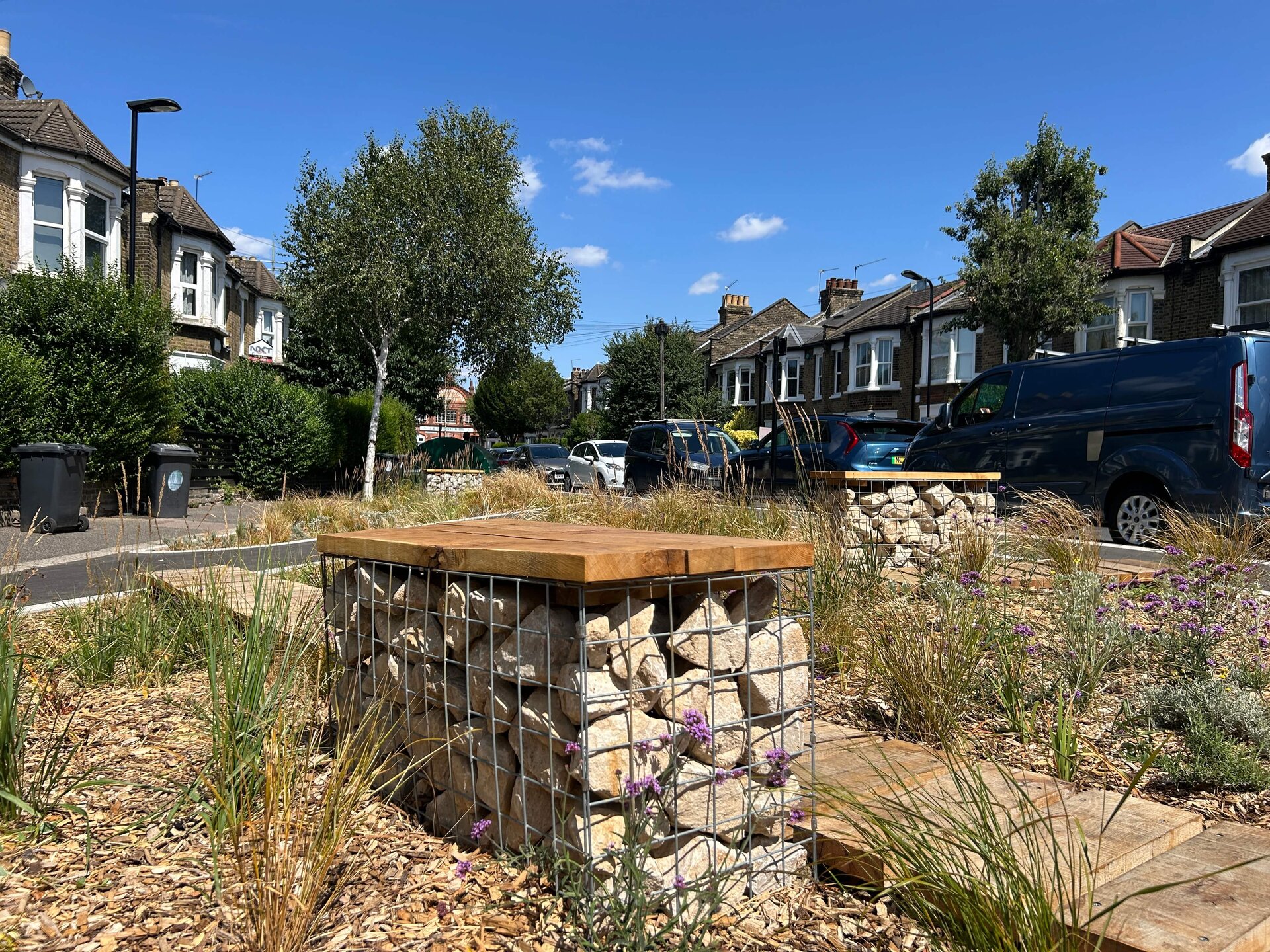 Scotts and Morley Road Rain Gardens
