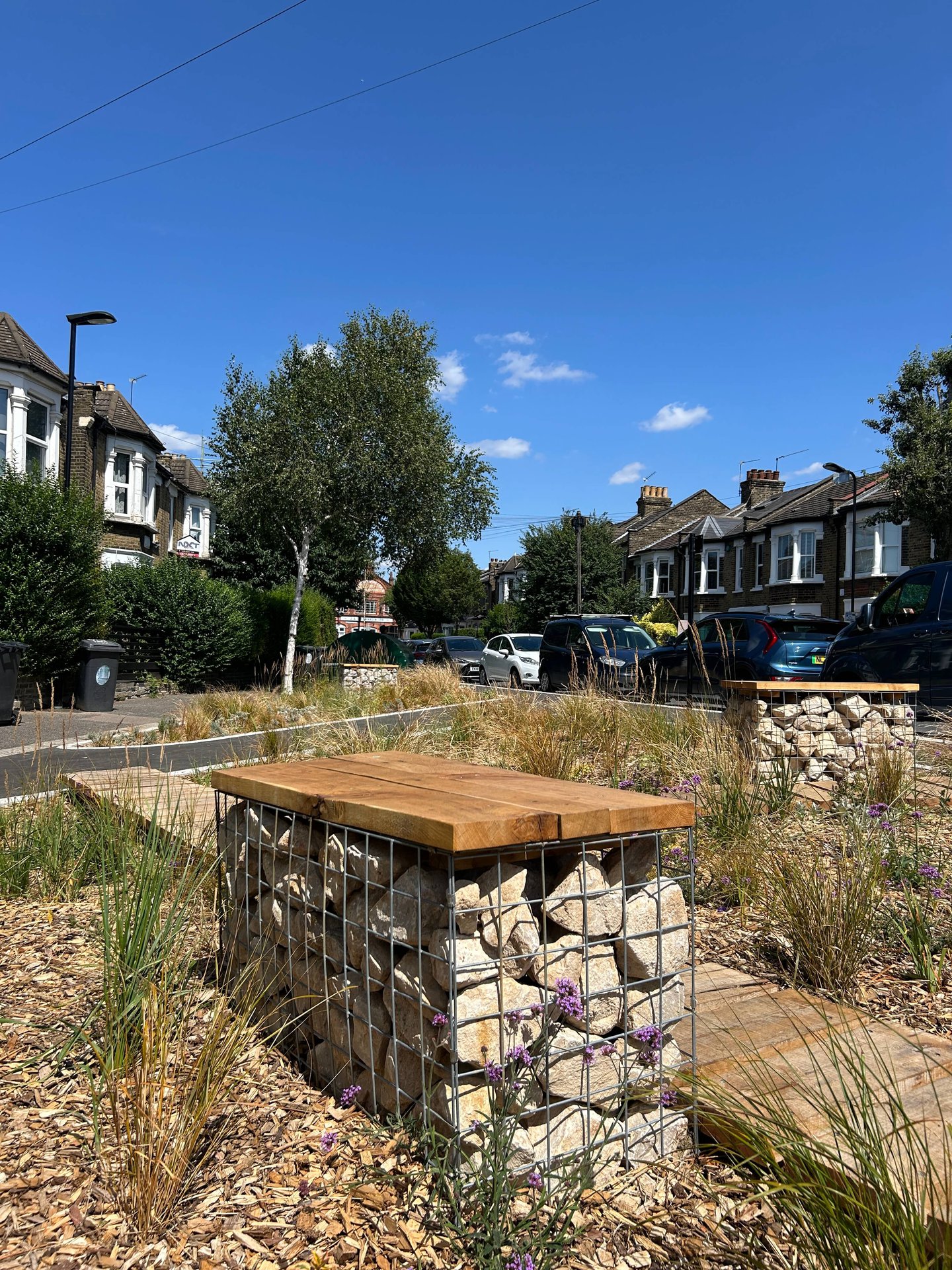 Scotts and Morley Road Rain Gardens