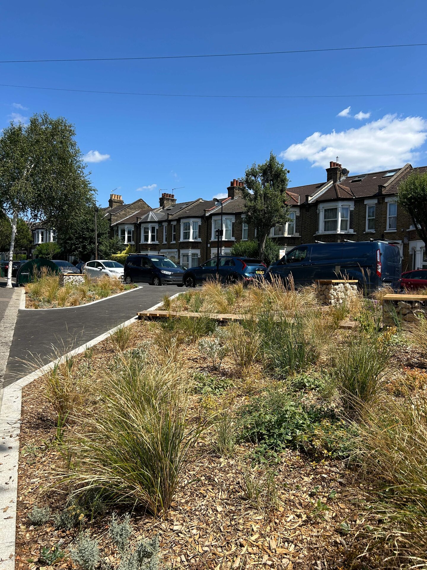 Scotts and Morley Road Rain Gardens