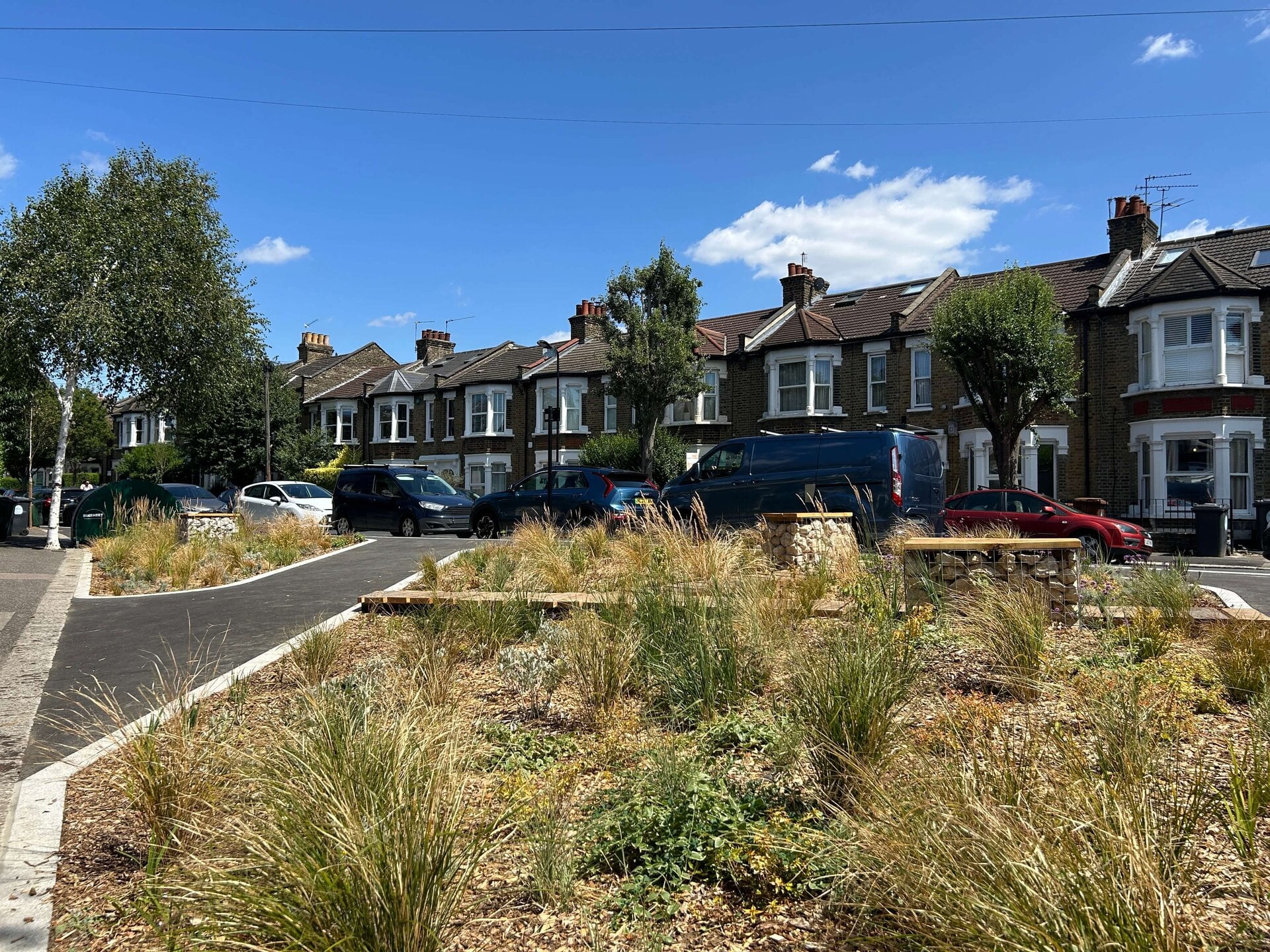 Rain Gardens