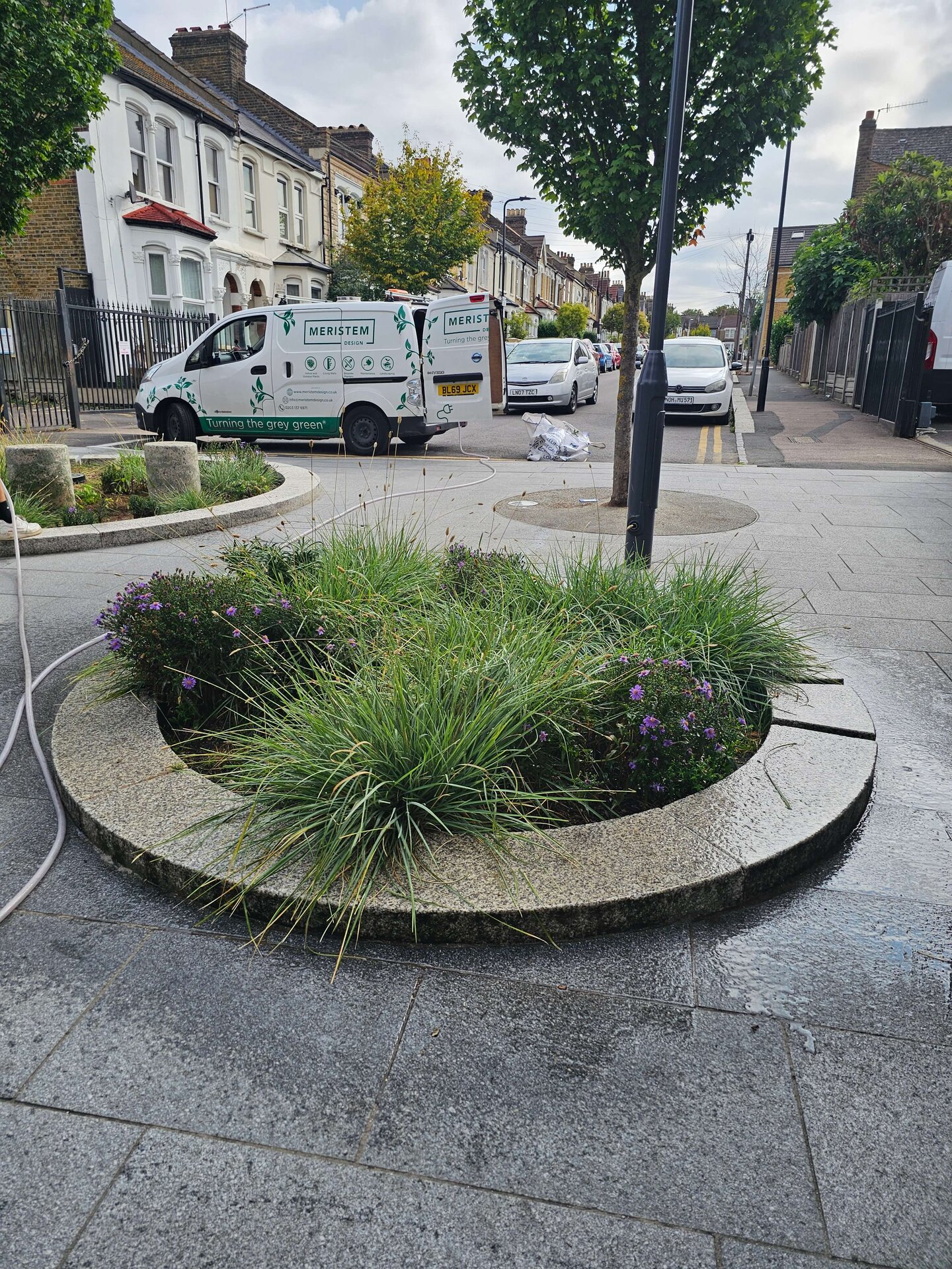 Cairo Place Rain Gardens