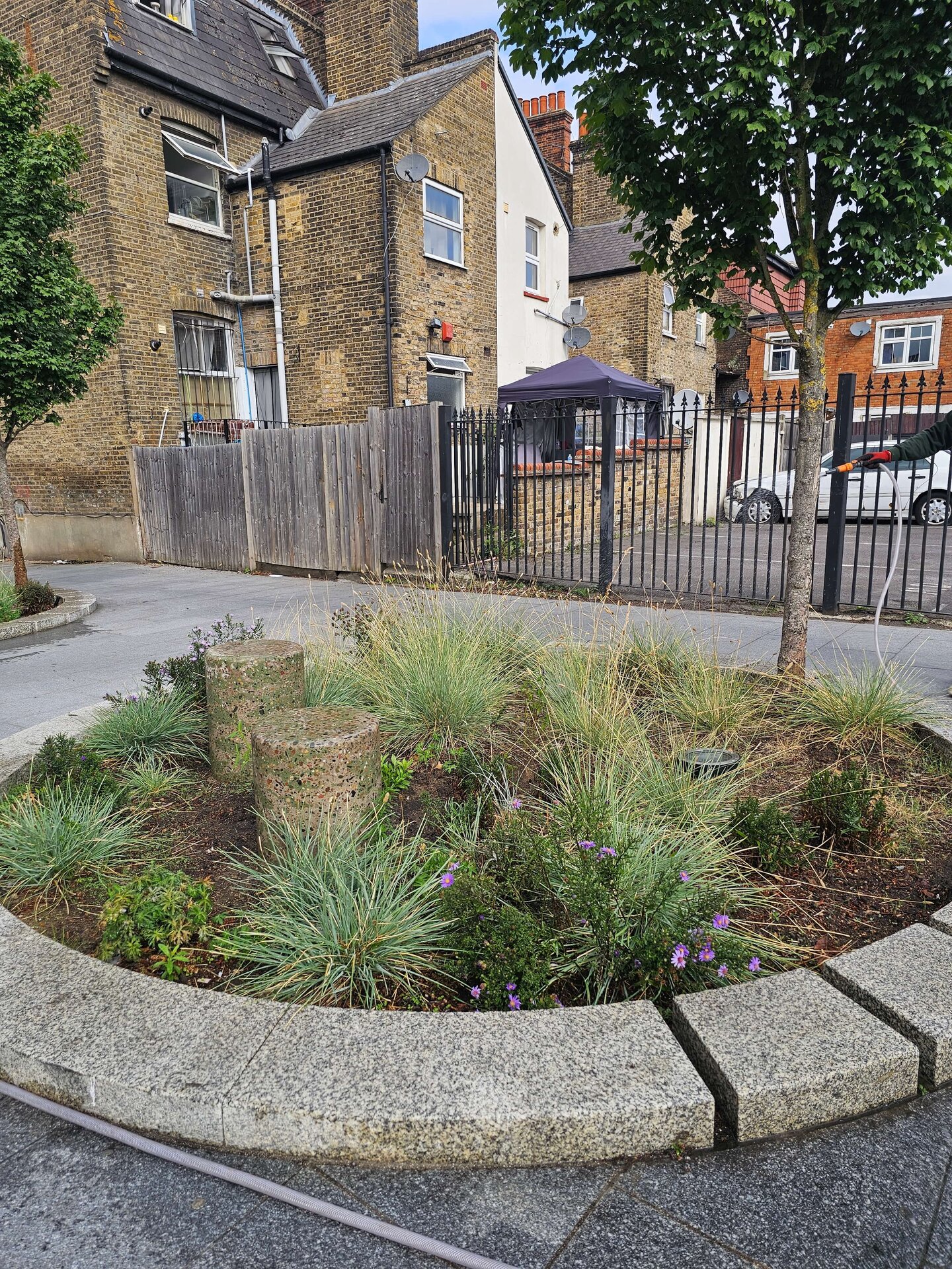 Cairo Place Rain Gardens