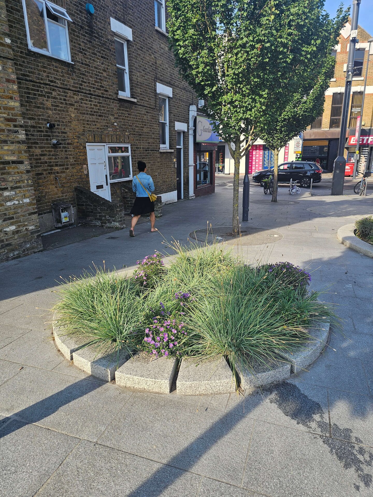 Cairo Place Rain Gardens