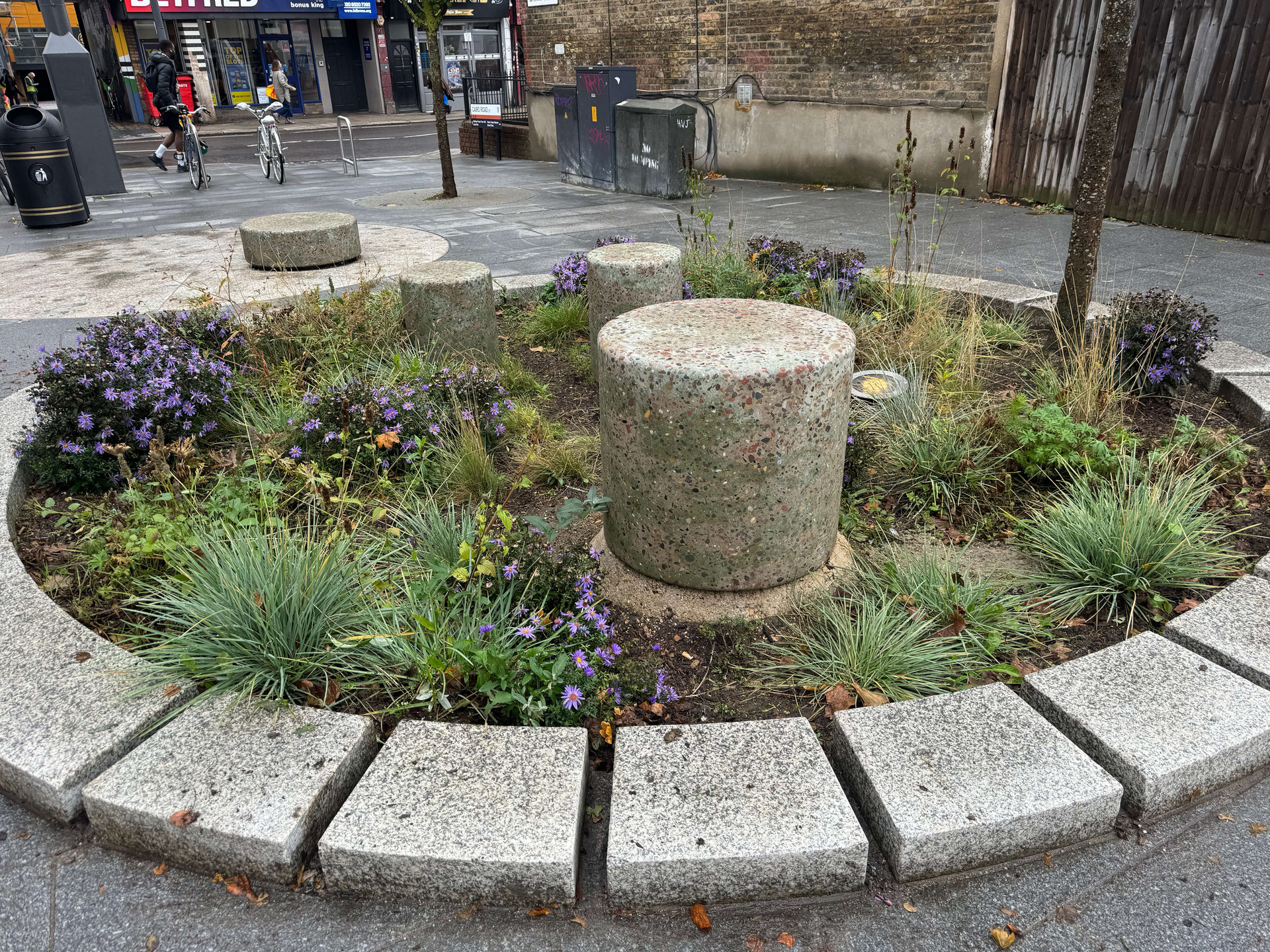 Cairo Place Rain Gardens