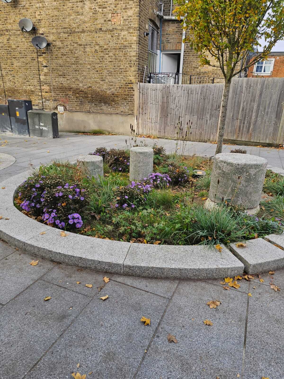 Cairo Place Rain Gardens