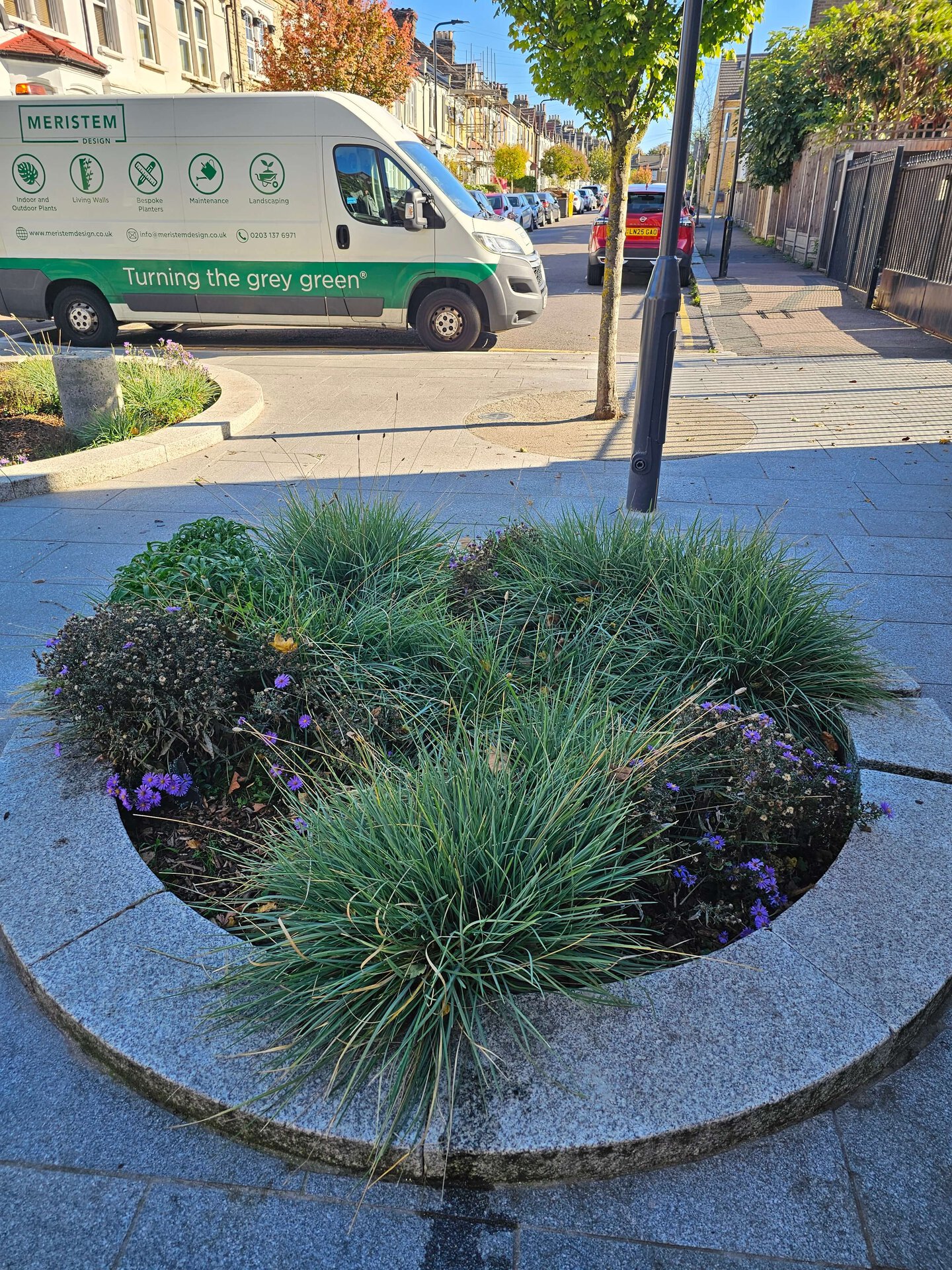 Cairo Place Rain Gardens