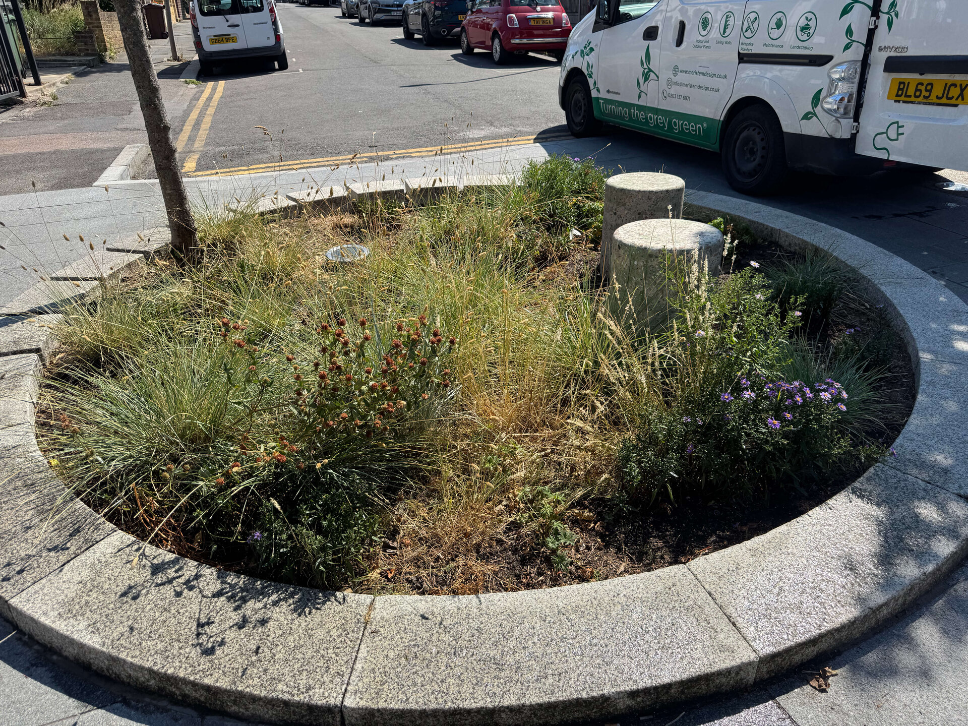 Cairo Place Rain Gardens
