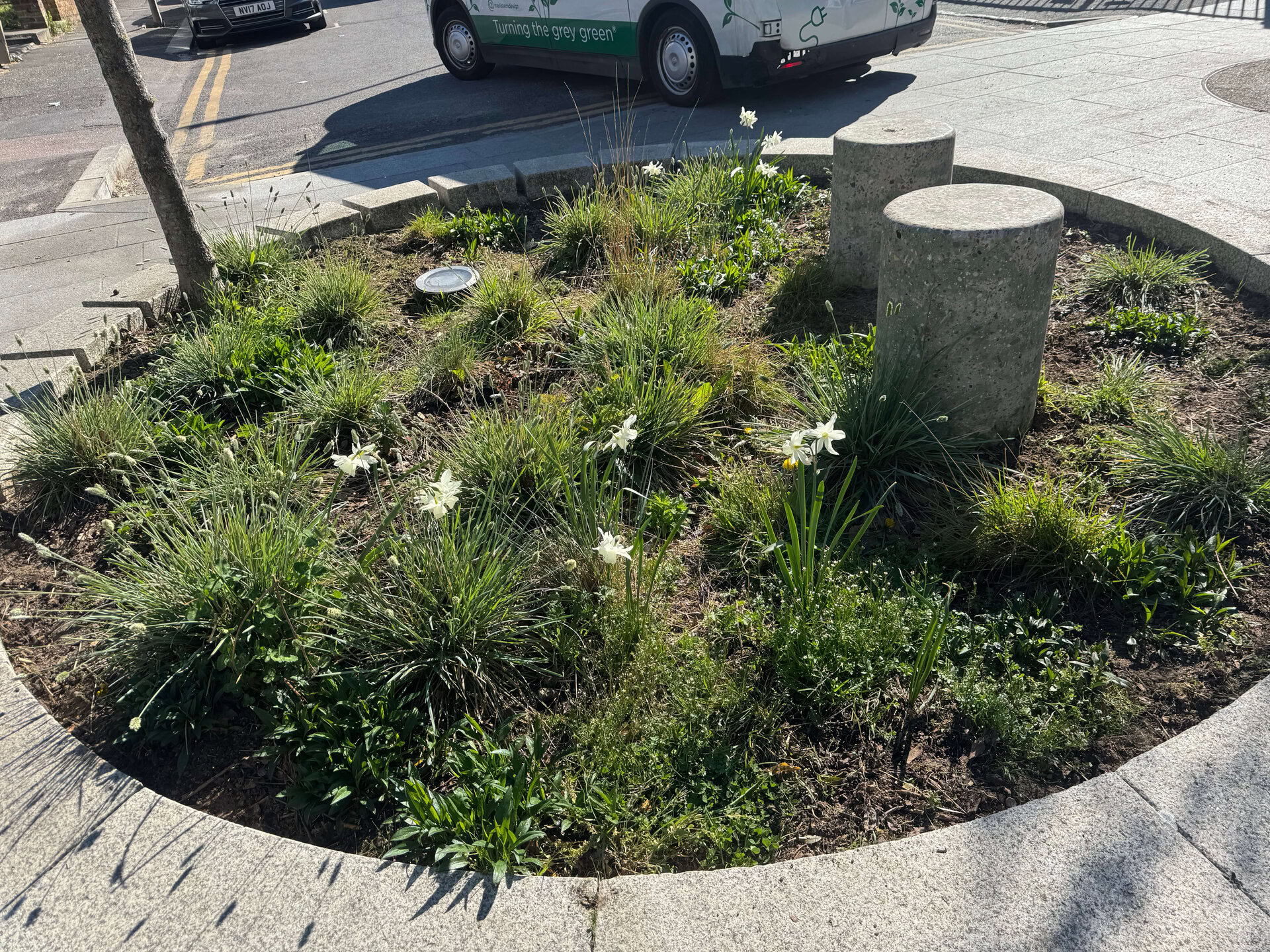 Cairo Place Rain Gardens