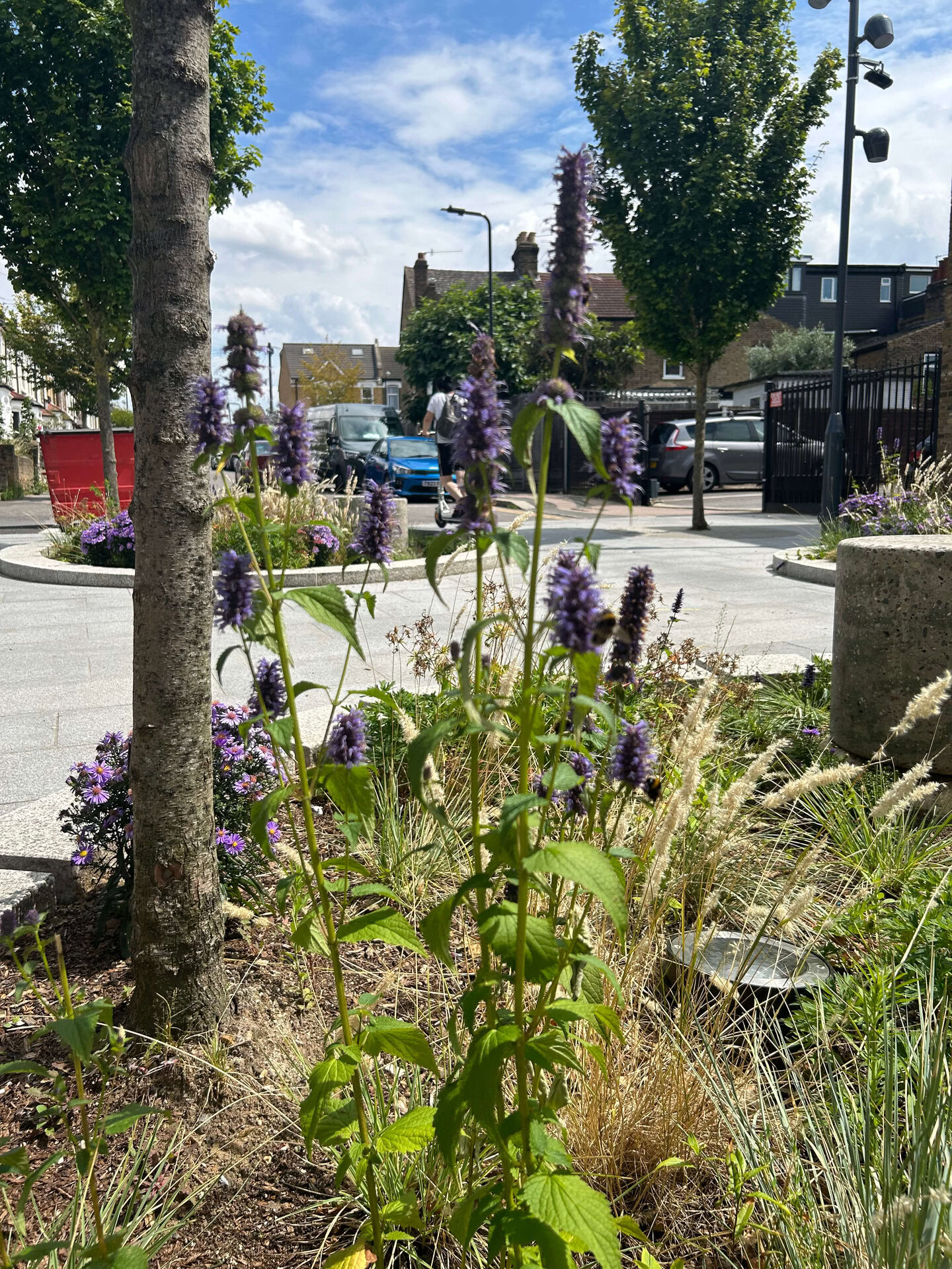 Public Realm