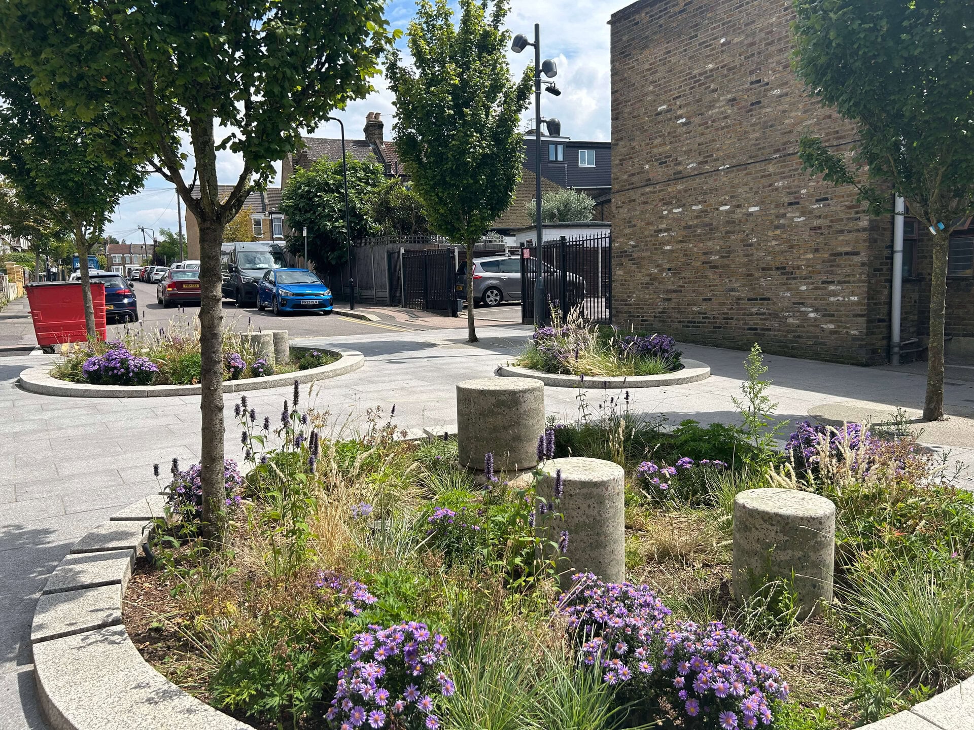 Rain Gardens
