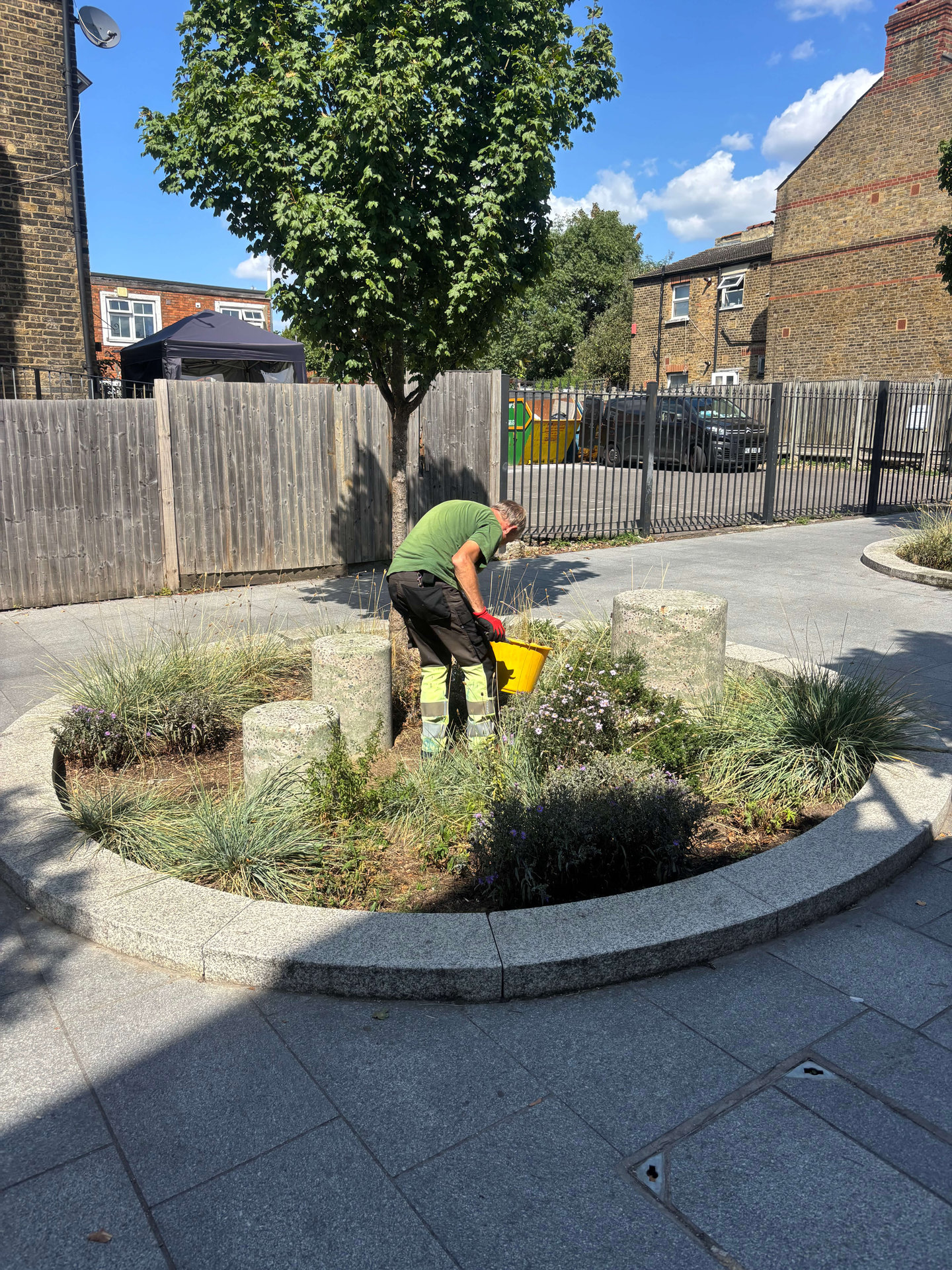 Cairo Place Rain Gardens