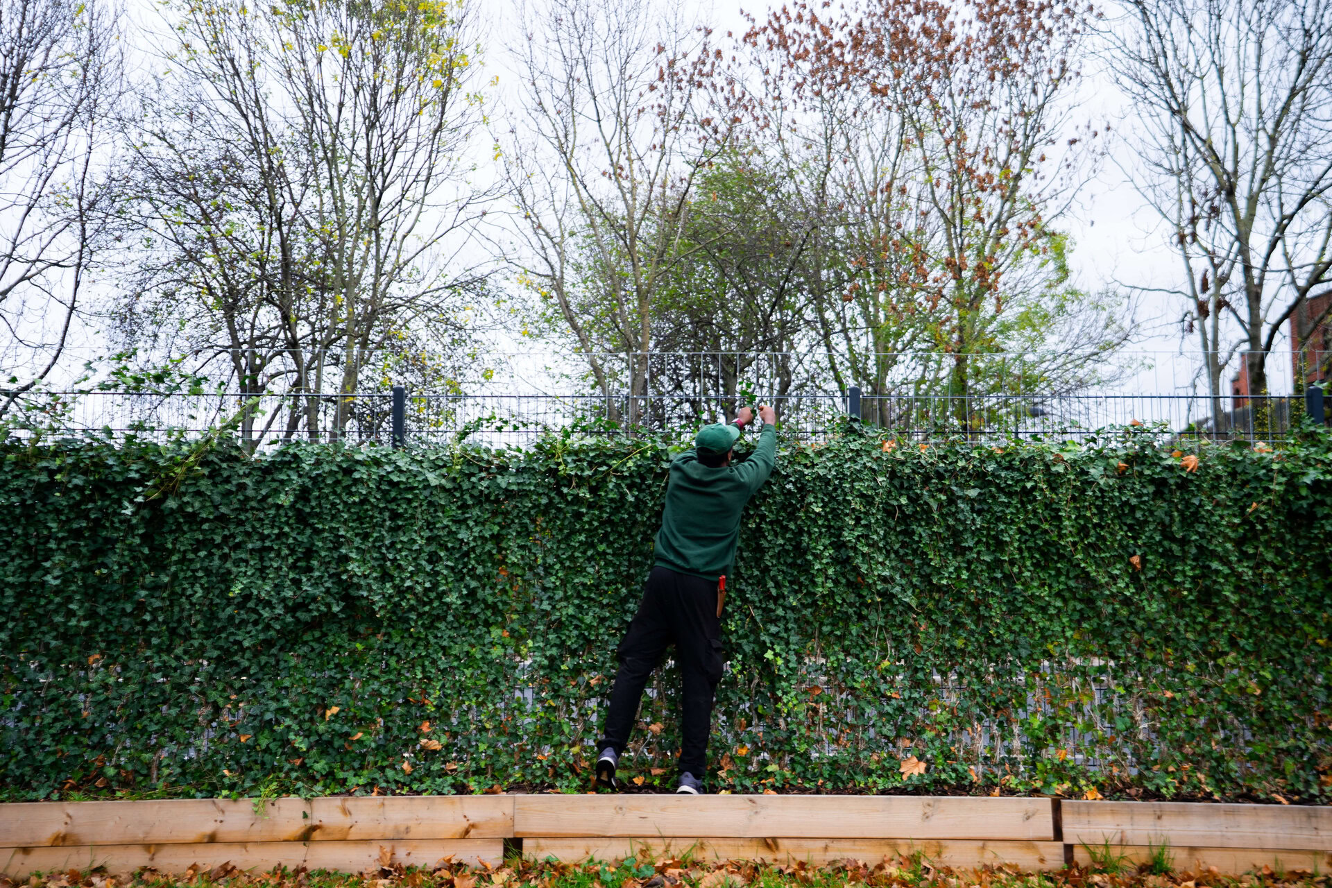 Hackney School Green Screens
