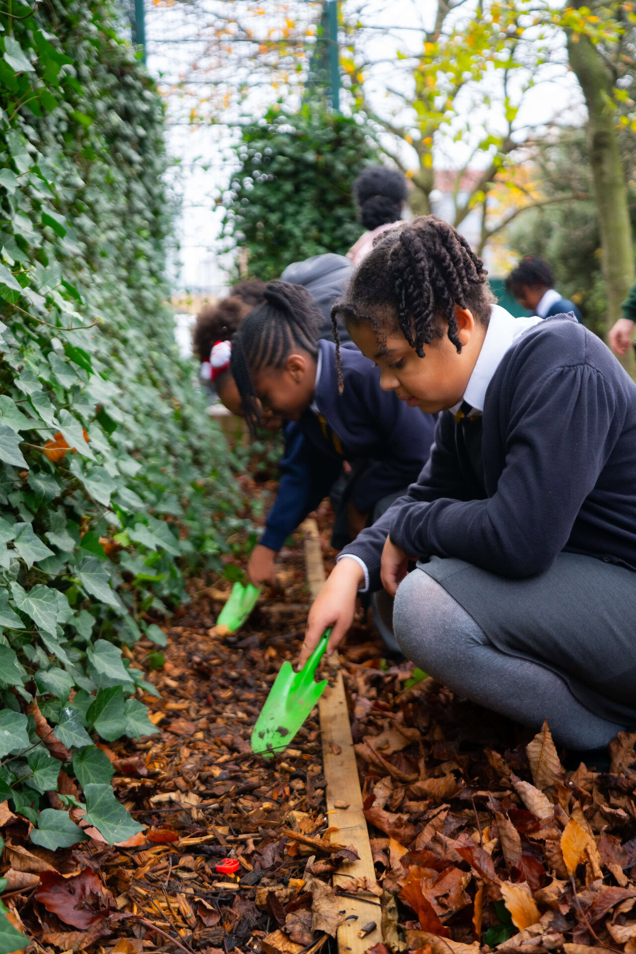 Hackney School Green Screens