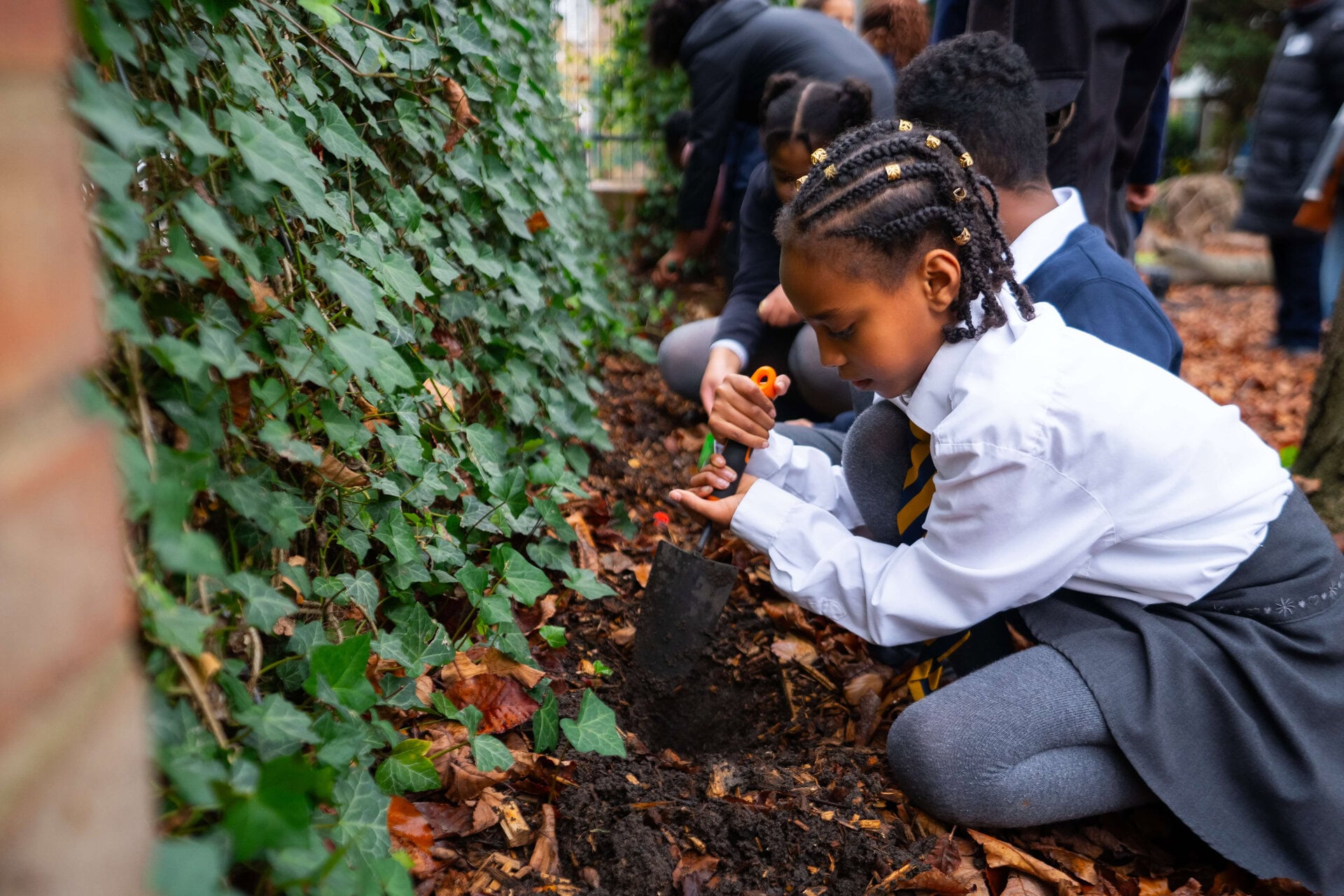 Hackney School Green Screens