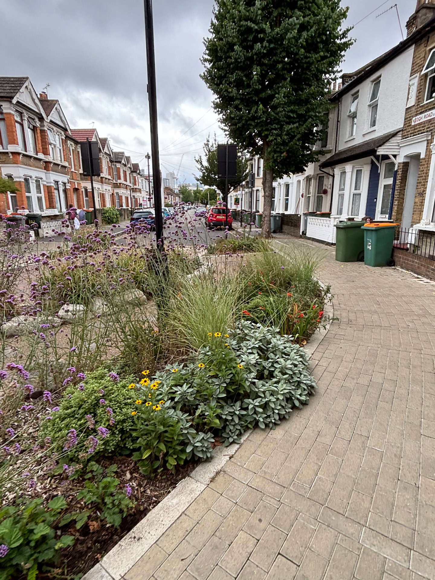 Keogh Road Rain Gardens