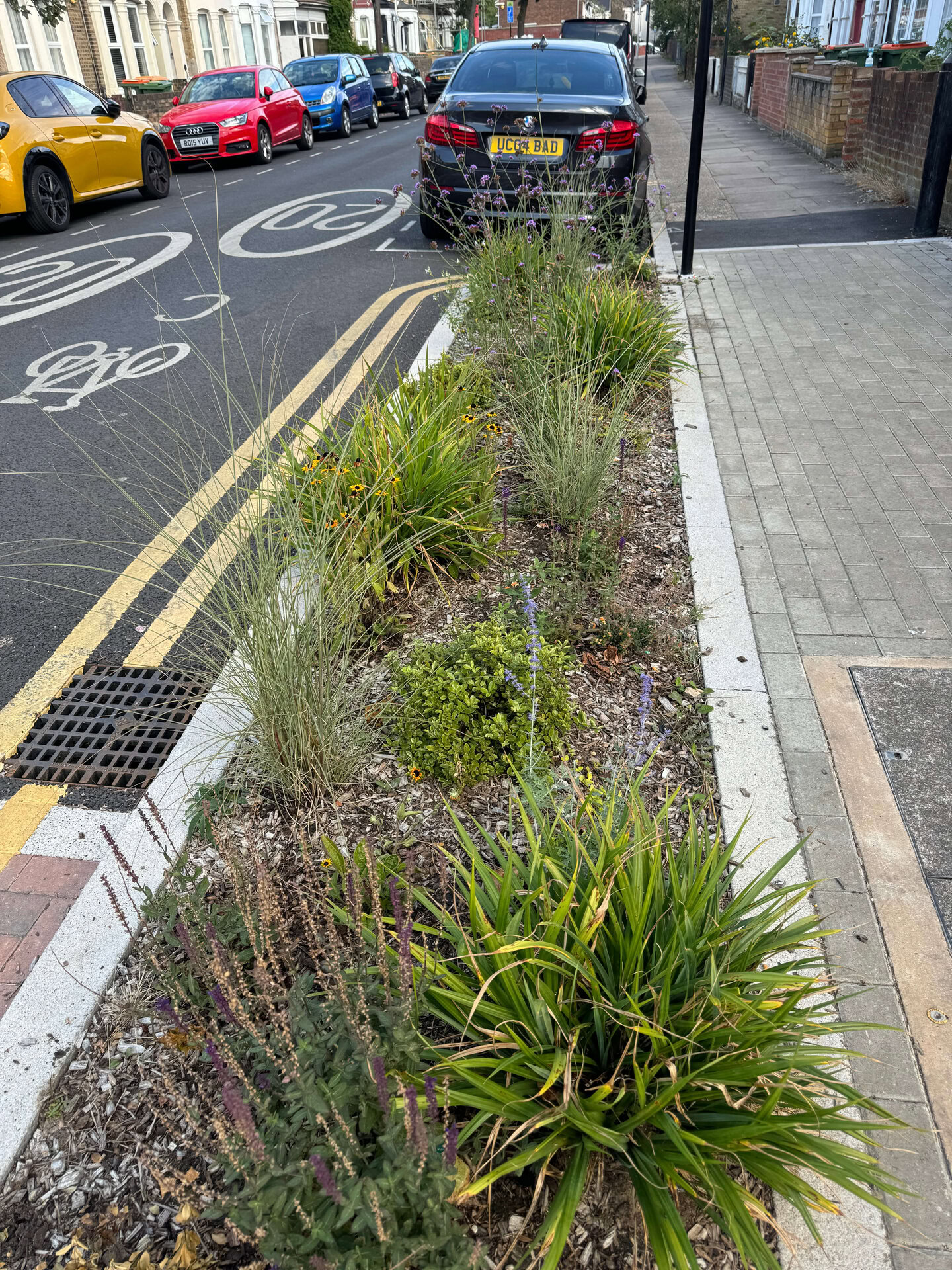 Keogh Road Rain Gardens
