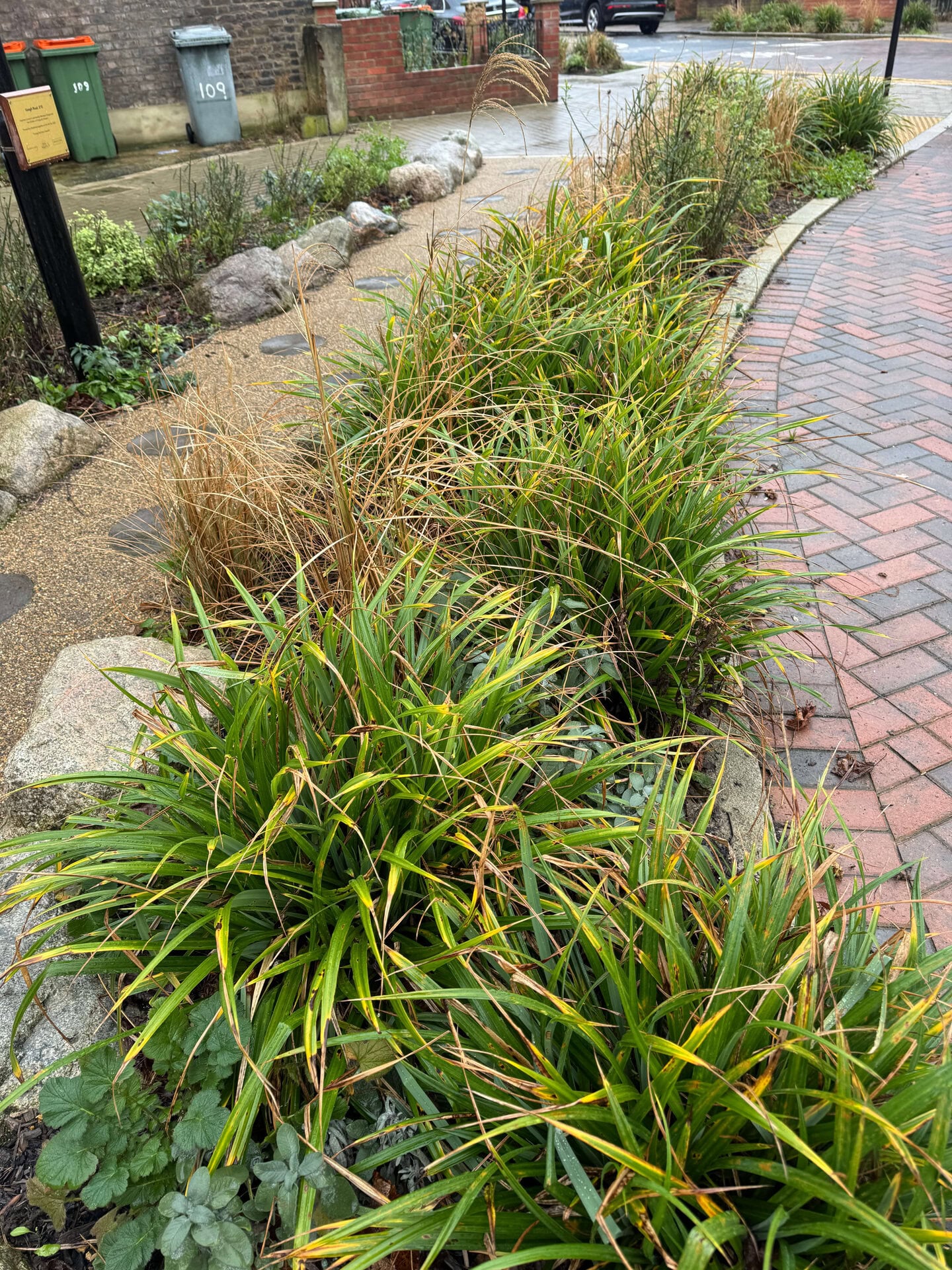 Keogh Road Rain Gardens