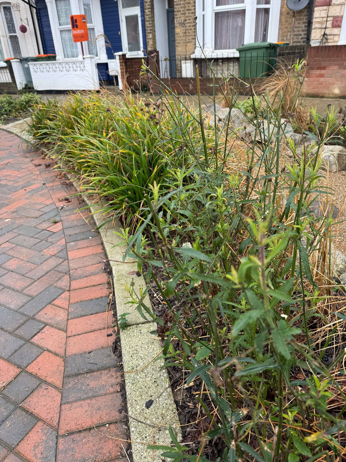 Keogh Road Rain Gardens