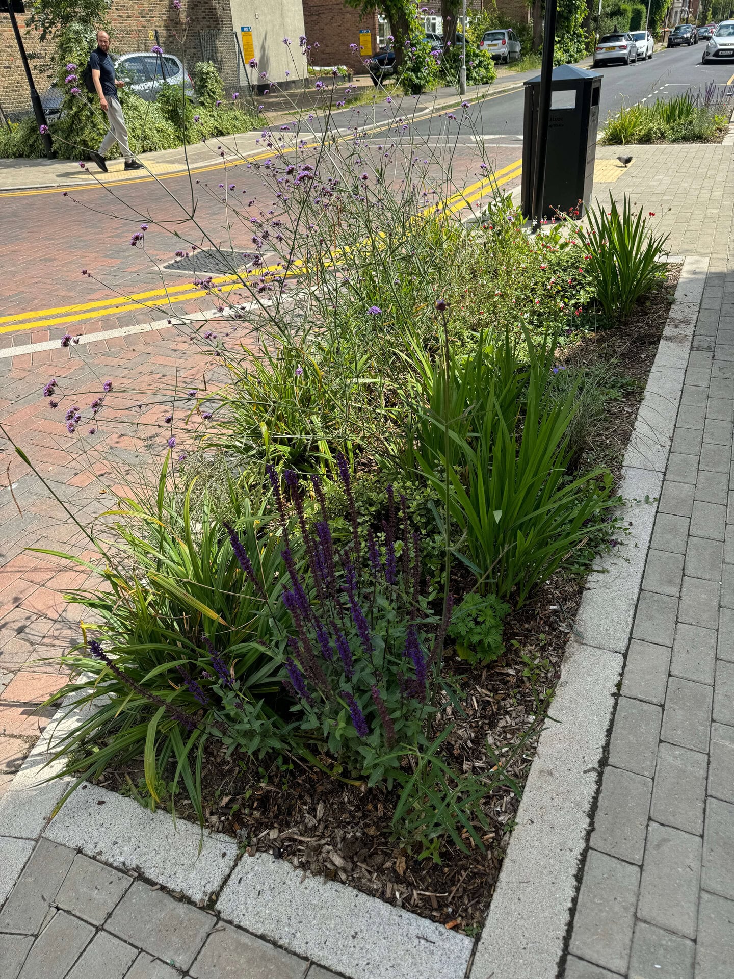 Keogh Road Rain Gardens
