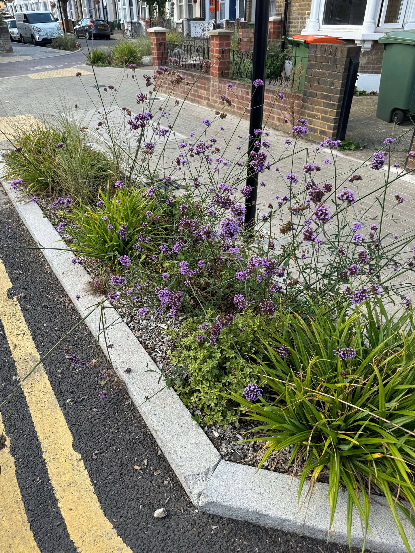 Keogh Road Rain Gardens