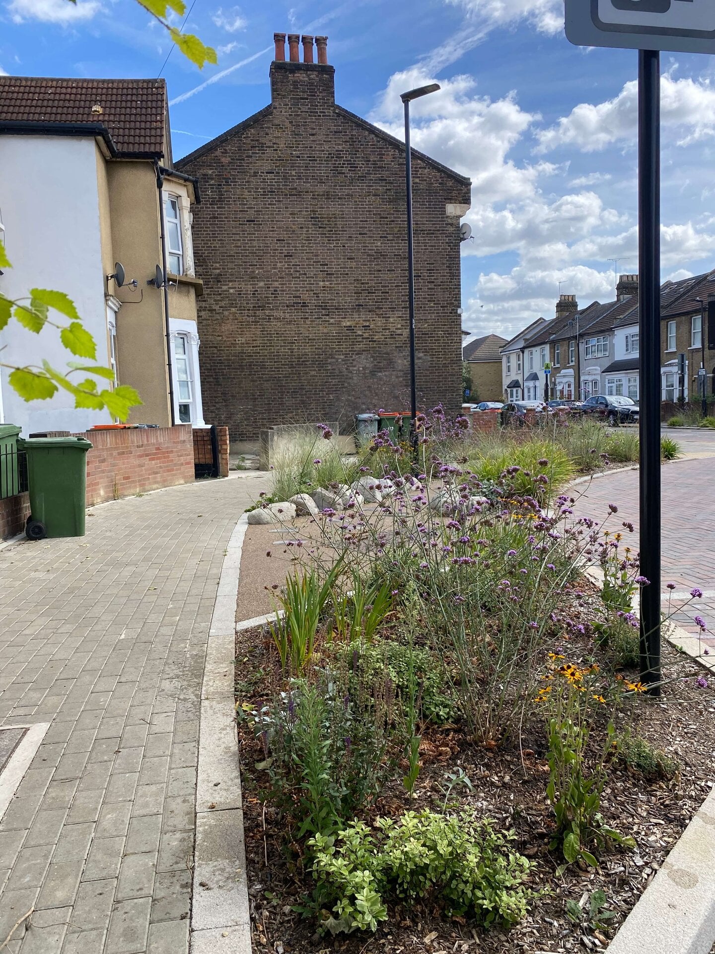 Rain Gardens