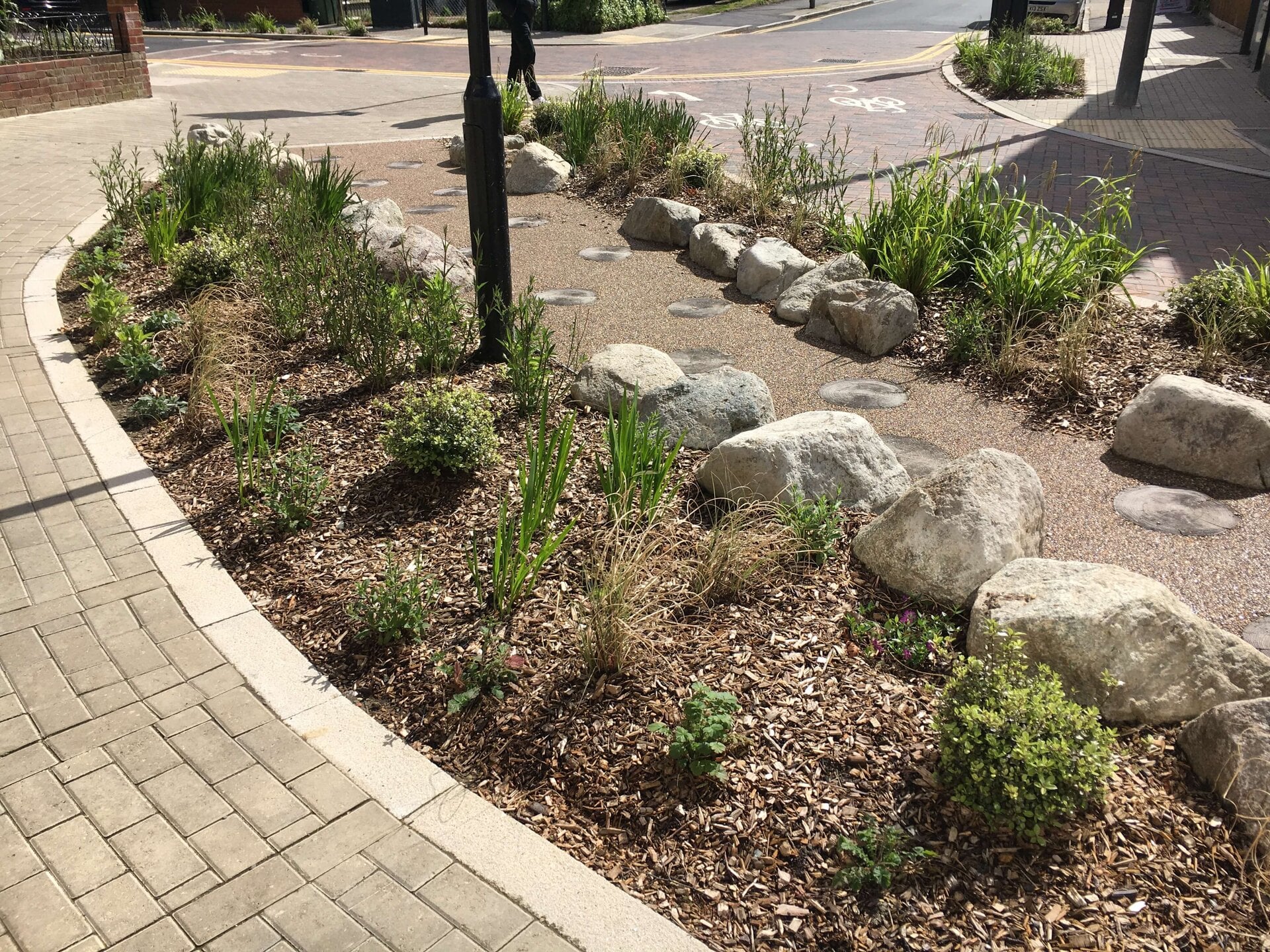 Keogh Road Rain Gardens