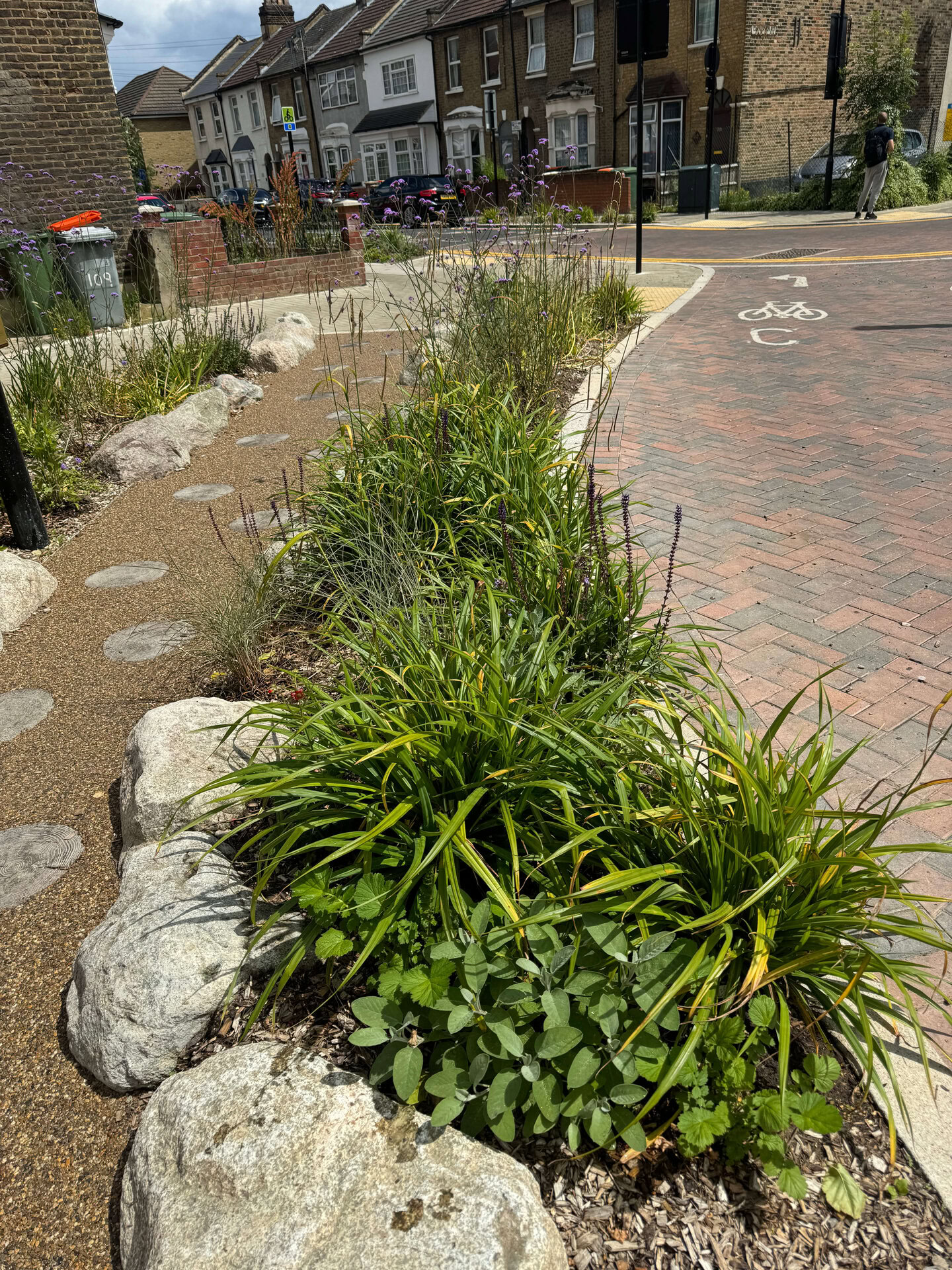 Keogh Road Rain Gardens